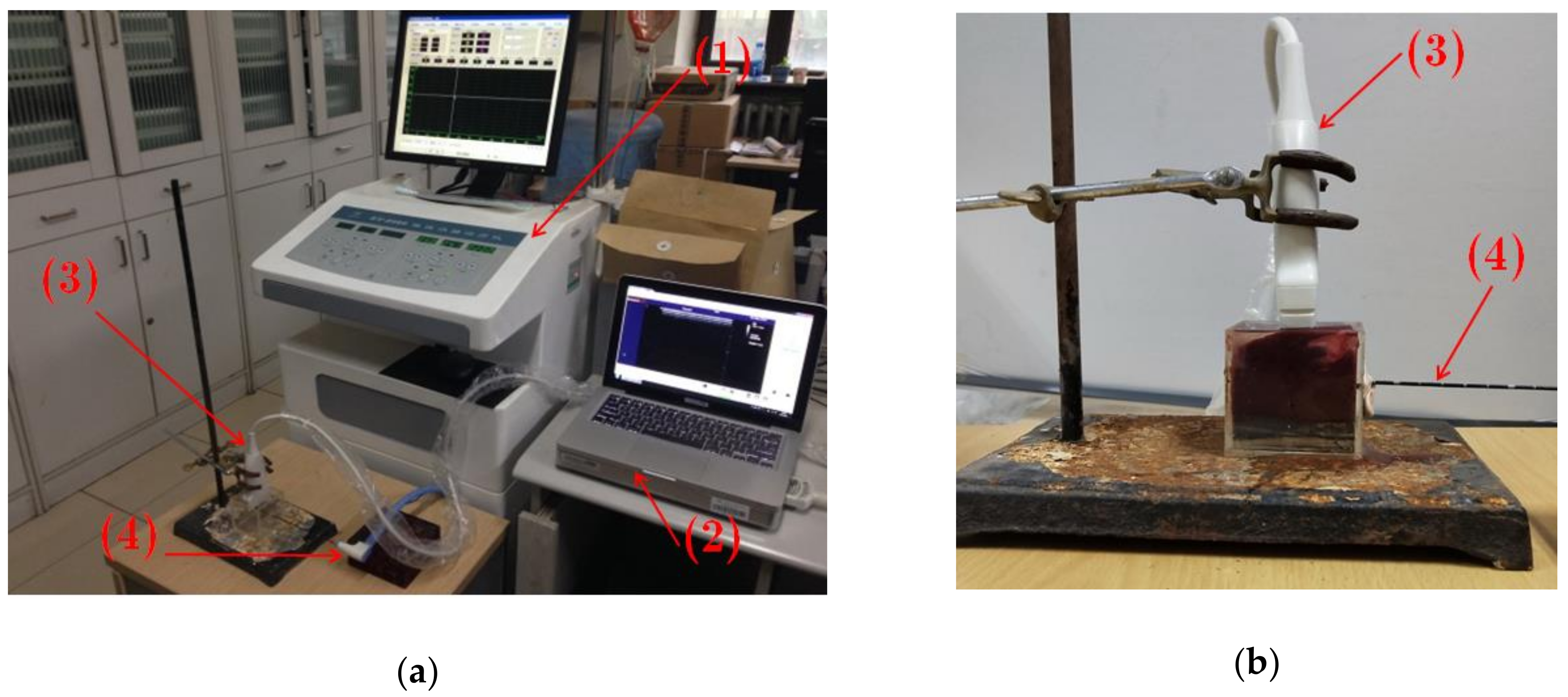 Sensors 19 00977 g001 550