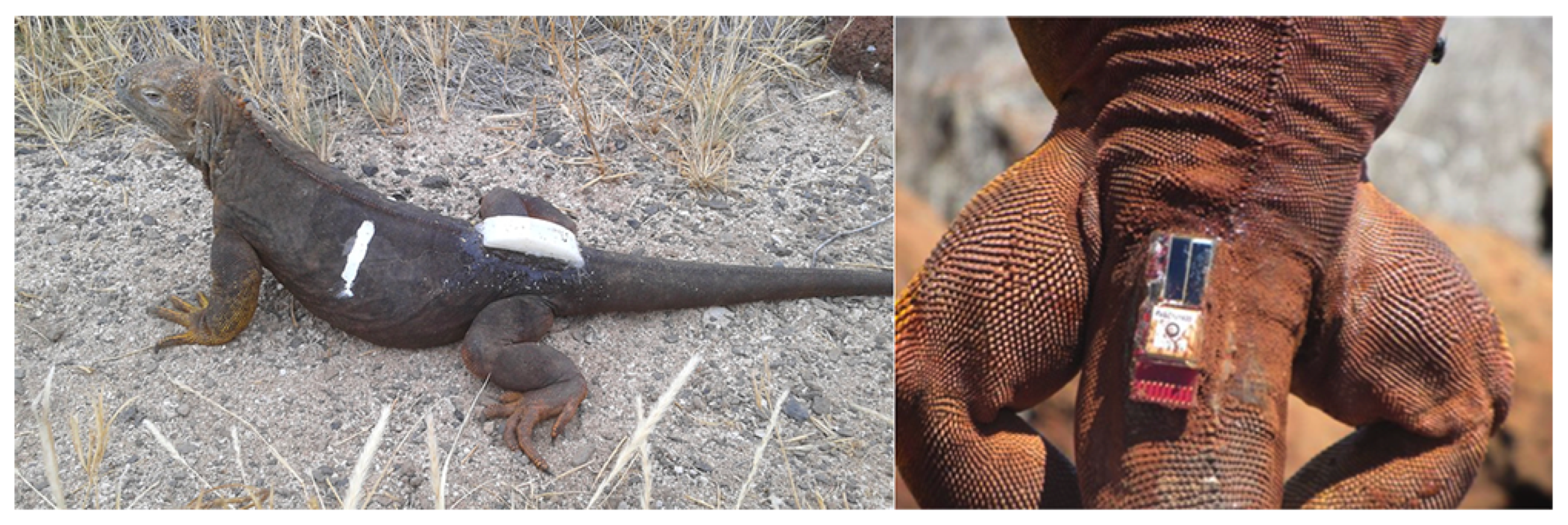 Sensors 19 00985 g005