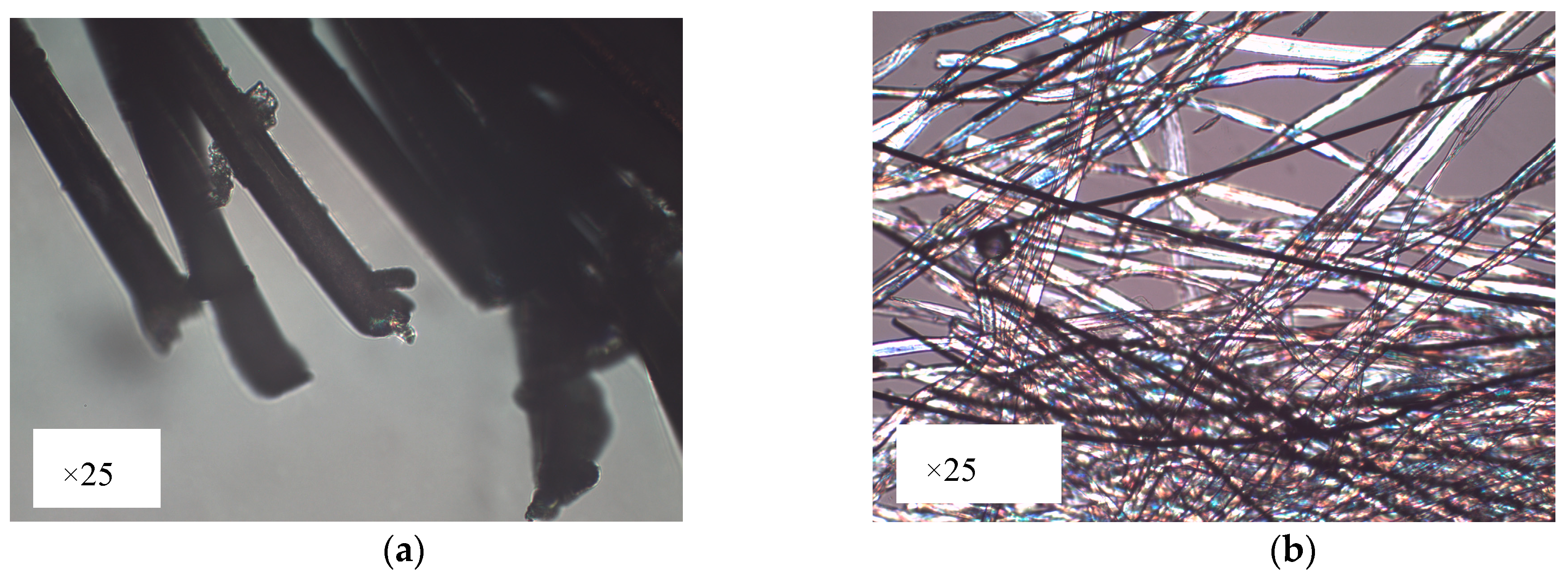 Sensors 19 01004 g002