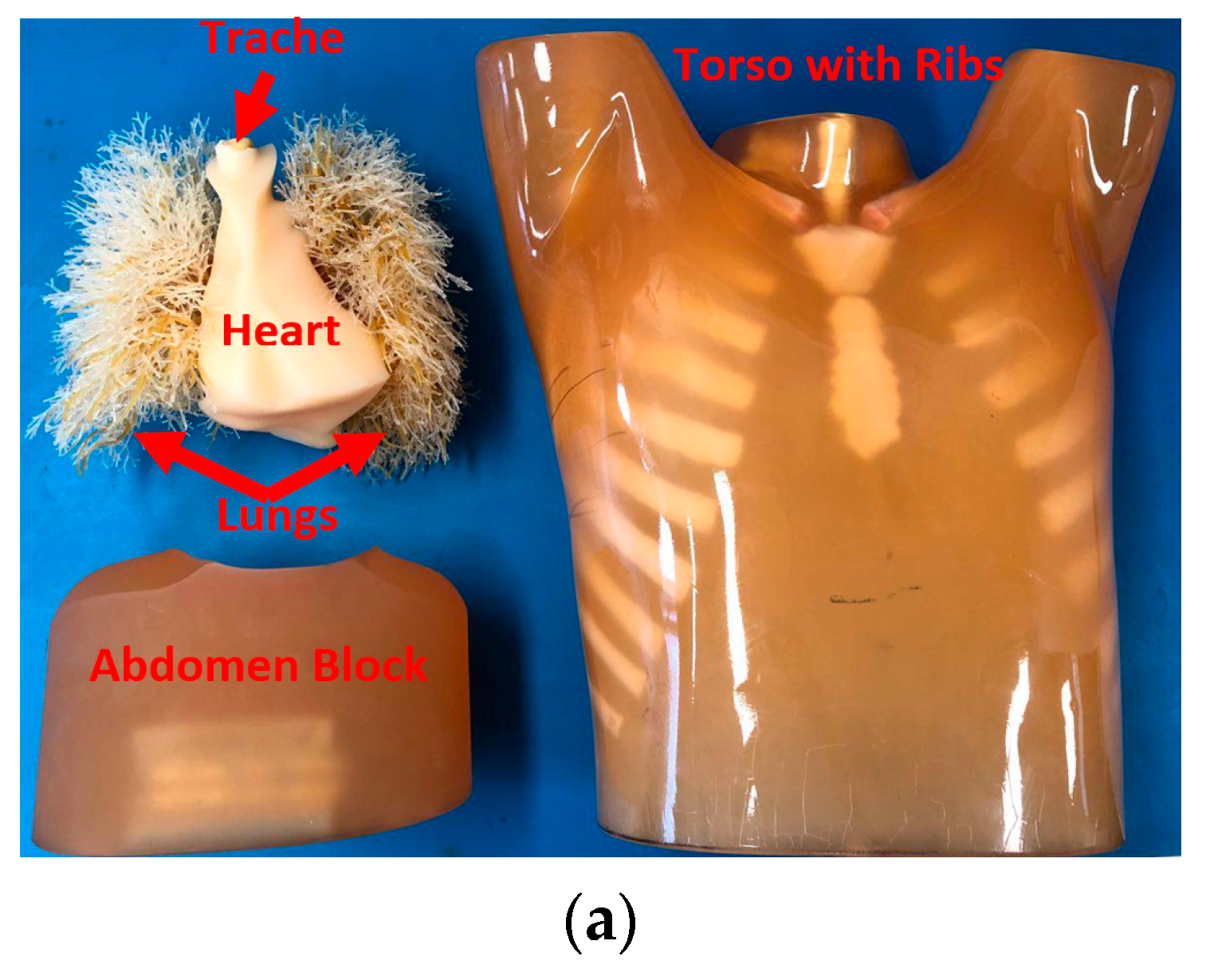 Sensors 19 01015 g006a 550