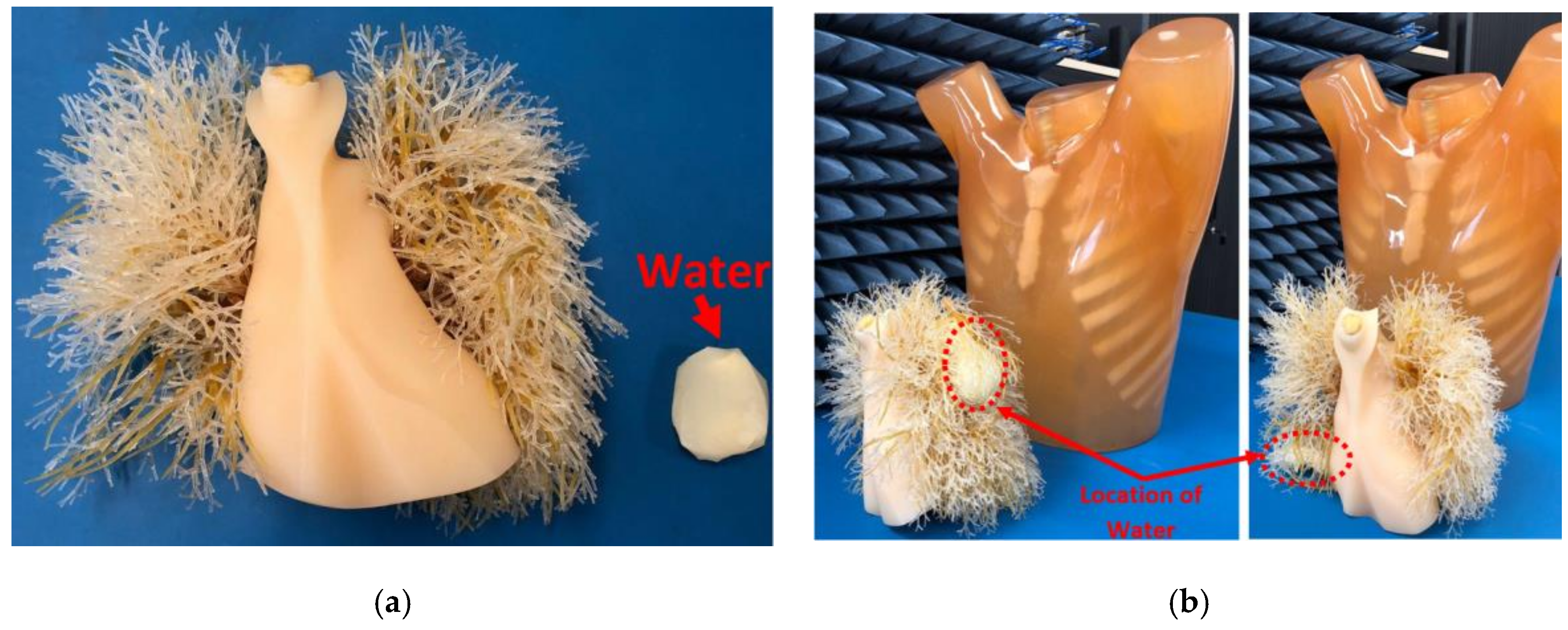 Sensors 19 01015 g008a 550