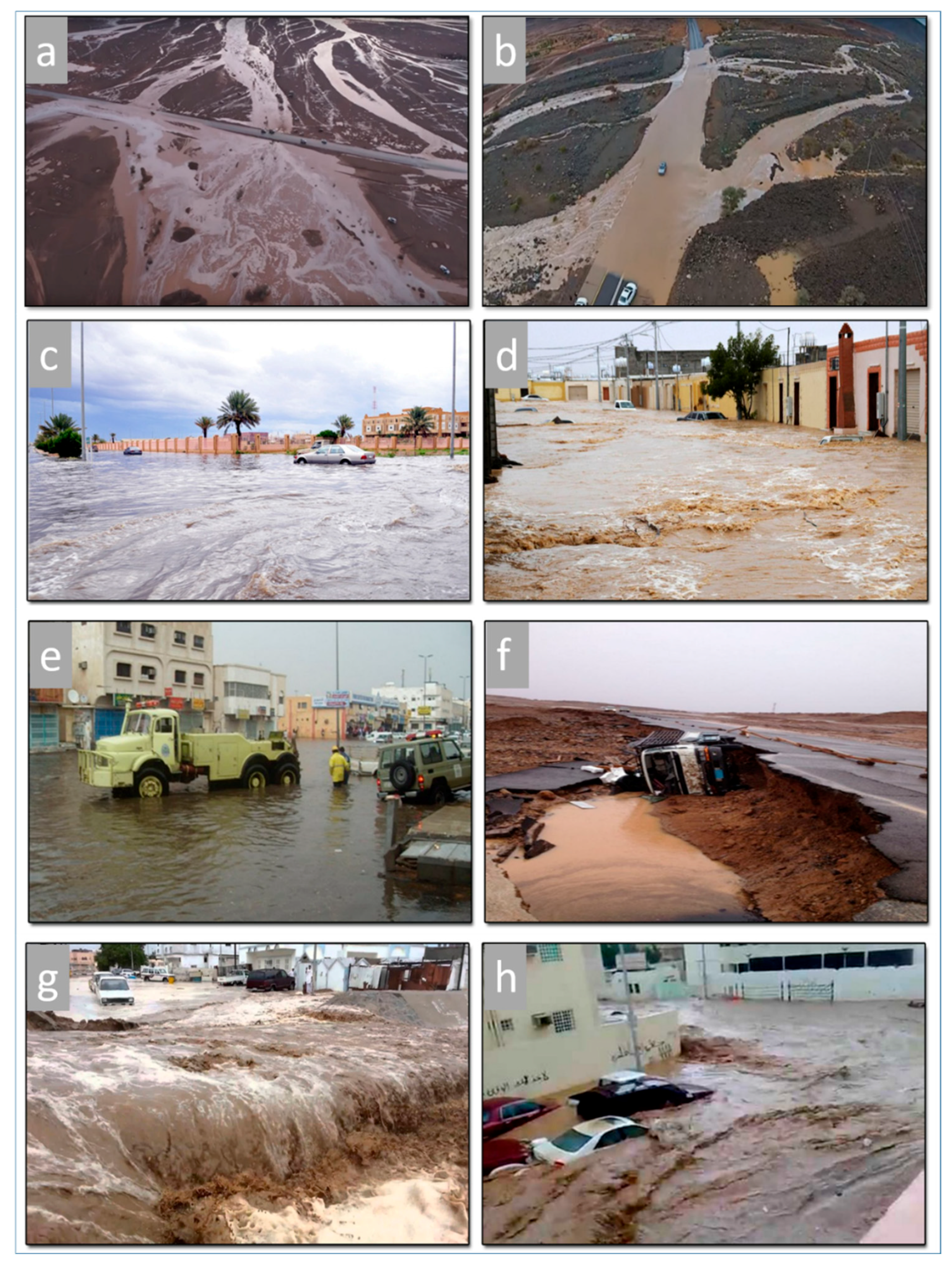 Sensors 19 01024 g002