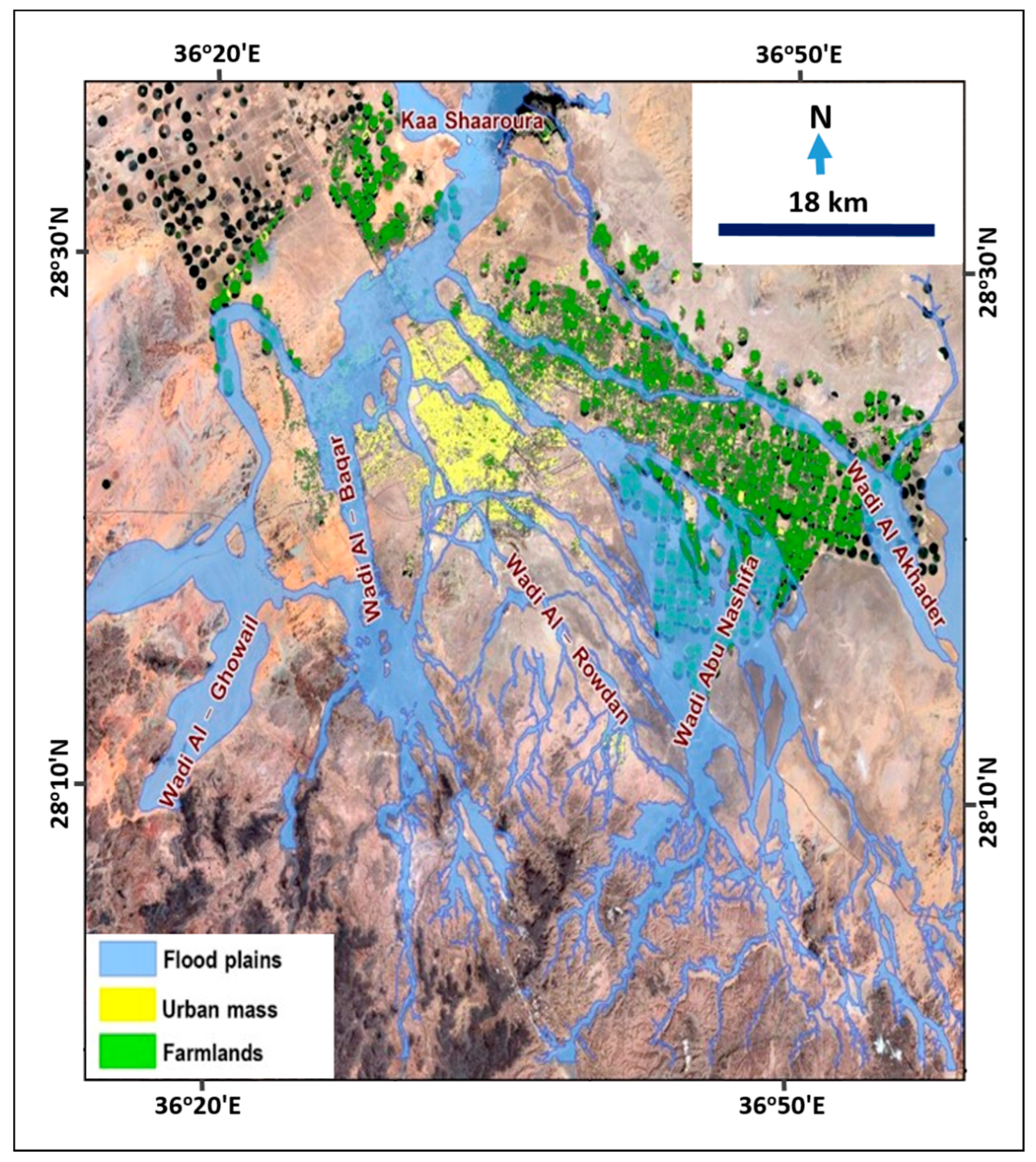 Sensors 19 01024 g007