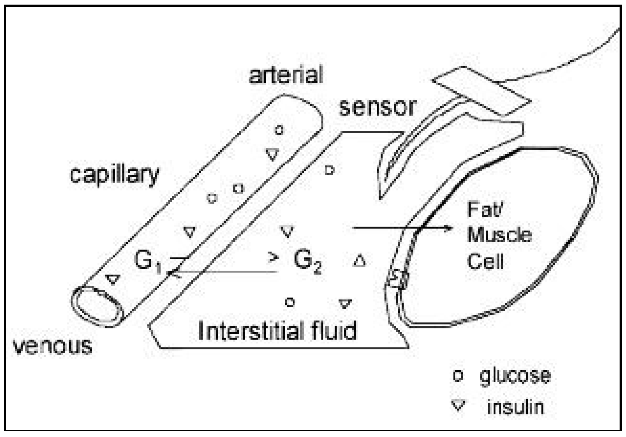 Sensors 19 01028 g004
