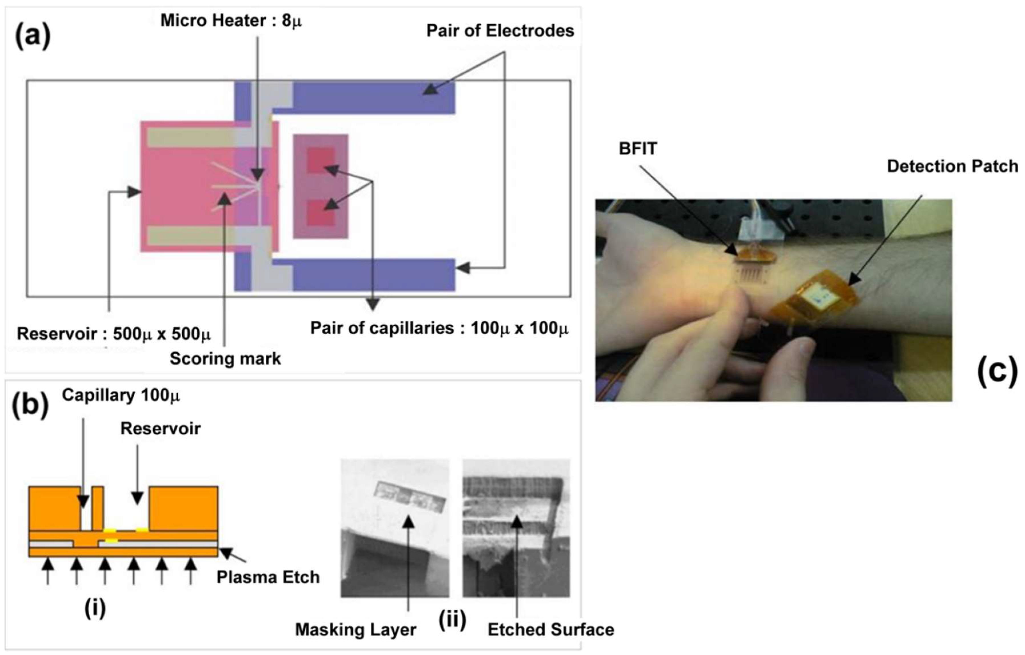 Sensors 19 01028 g019