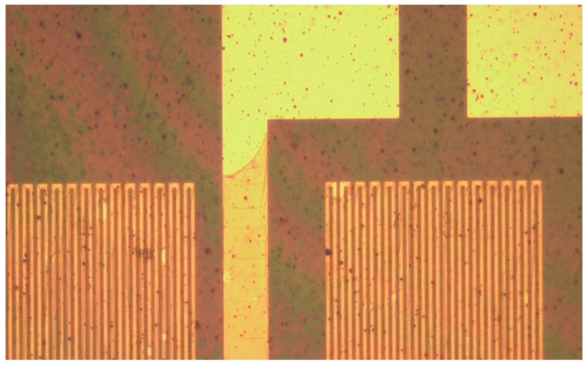 Sensors 19 01030 g007