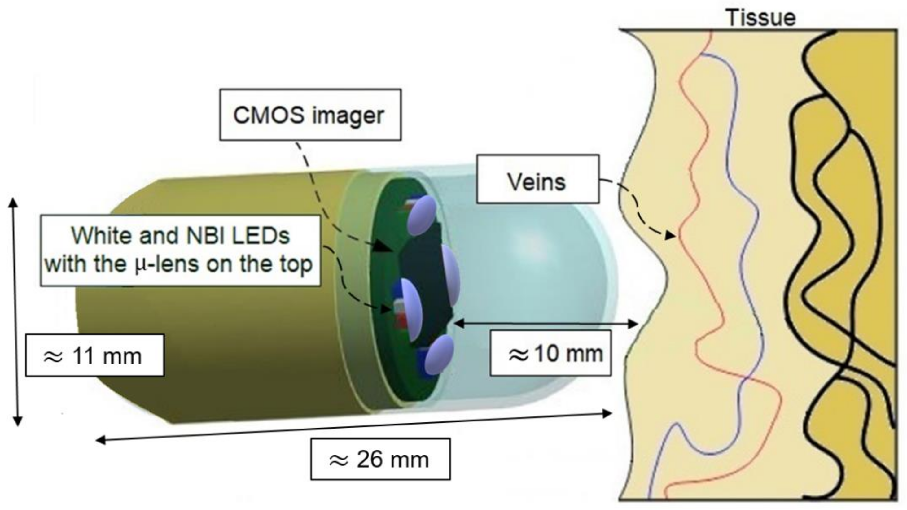 Sensors 19 01057 g001 550