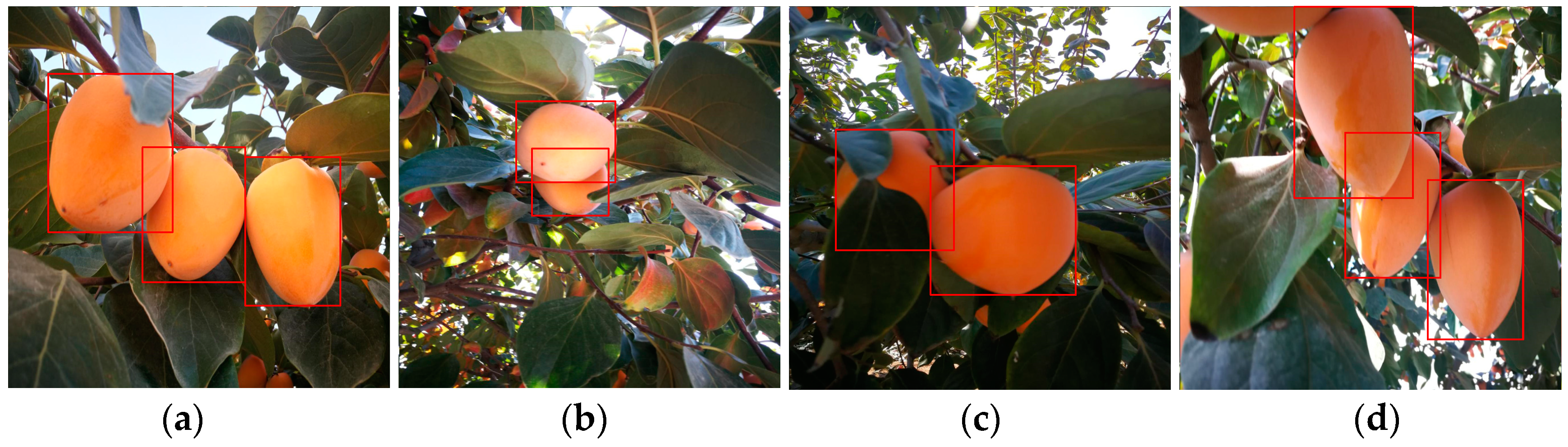 Sensors 19 01058 g005 550