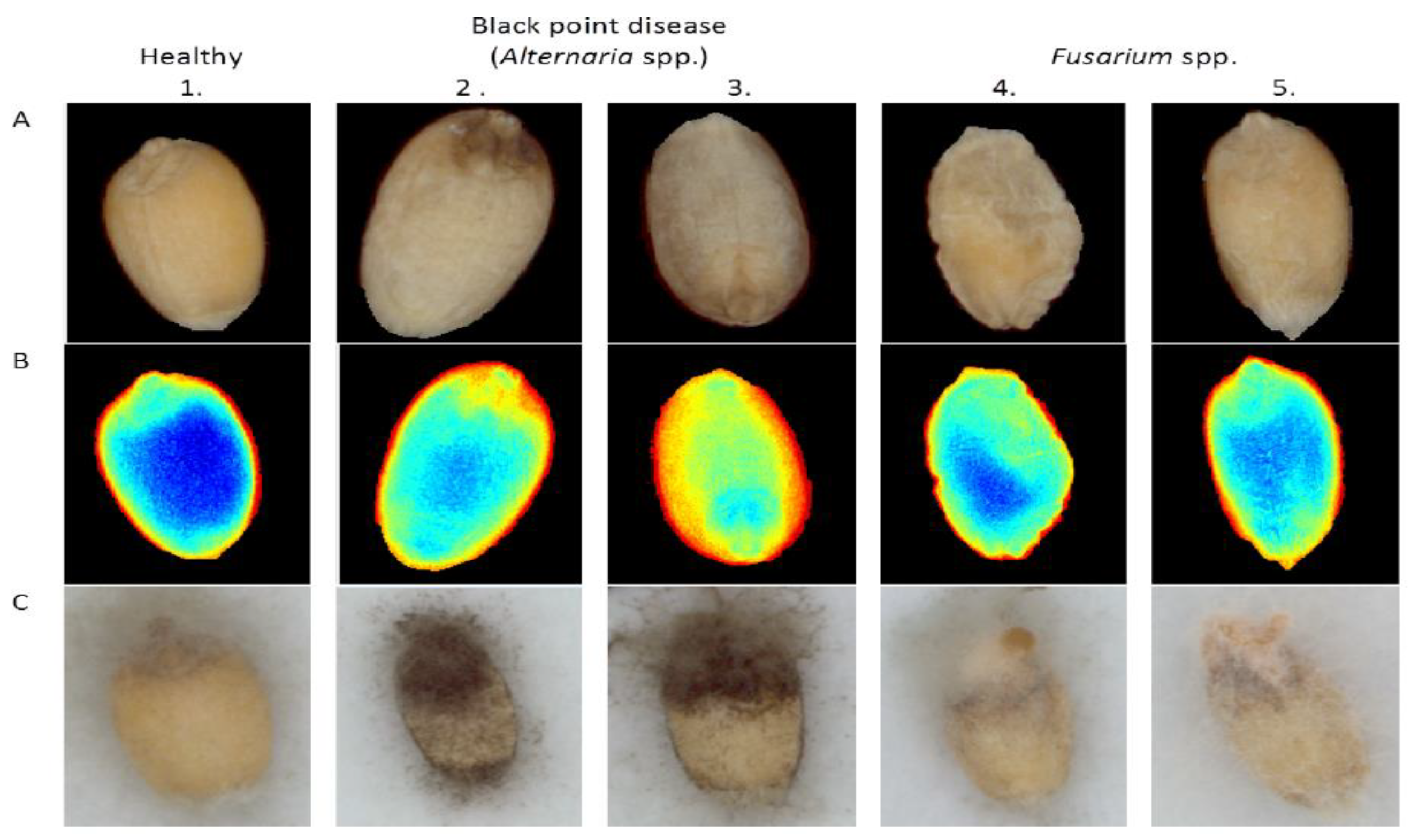 Sensors 19 01090 g007 Sensors 19 01090 g007