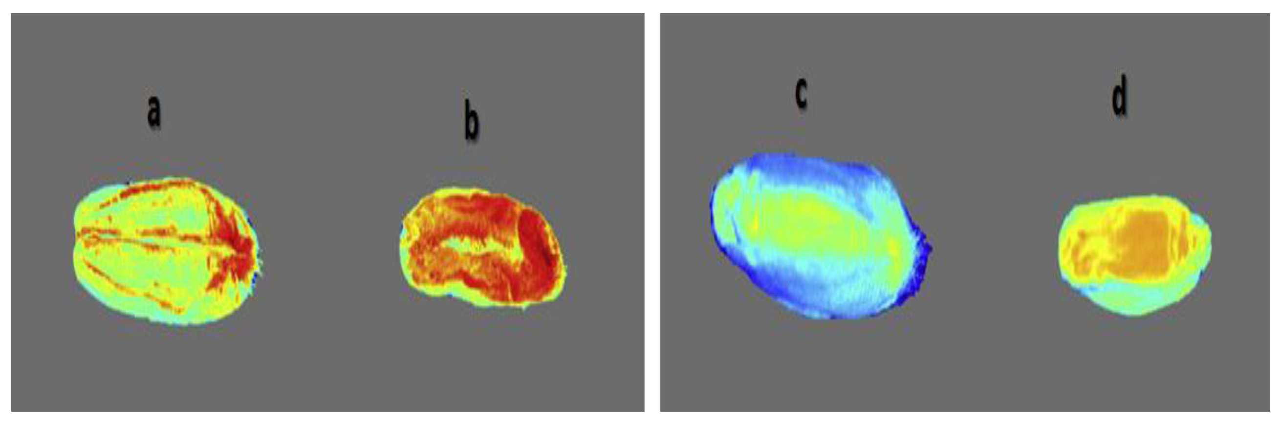 Sensors 19 01090 g009 Sensors 19 01090 g009