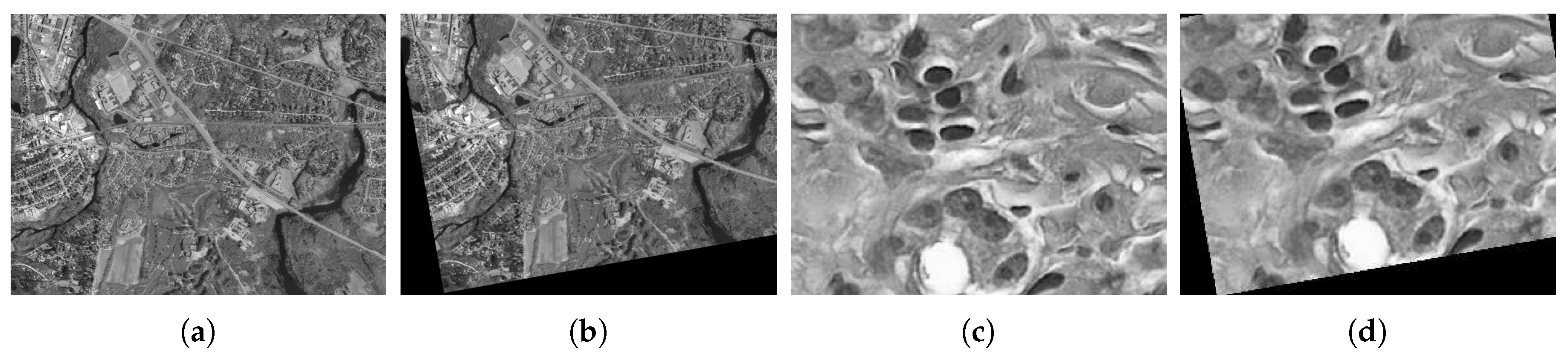 Sensors 19 01091 g017