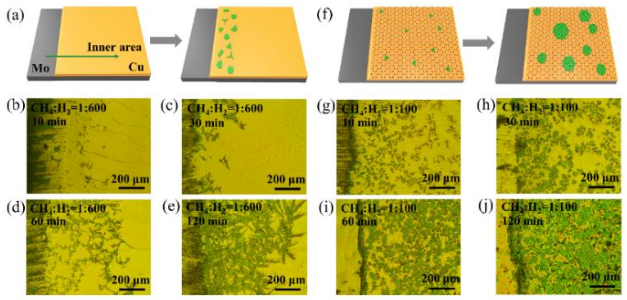 Sensors 19 01099 g003