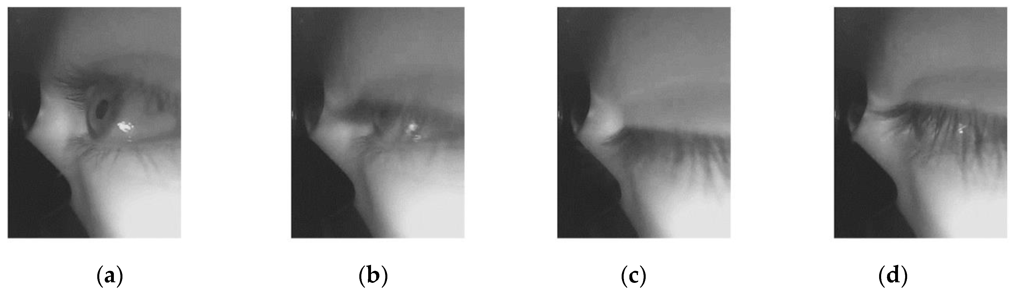 Sensors Free Full Text Real Time Eyeblink Detector And Eye State Classifier For Virtual Reality Vr Headsets Head Mounted Displays Hmds Html
