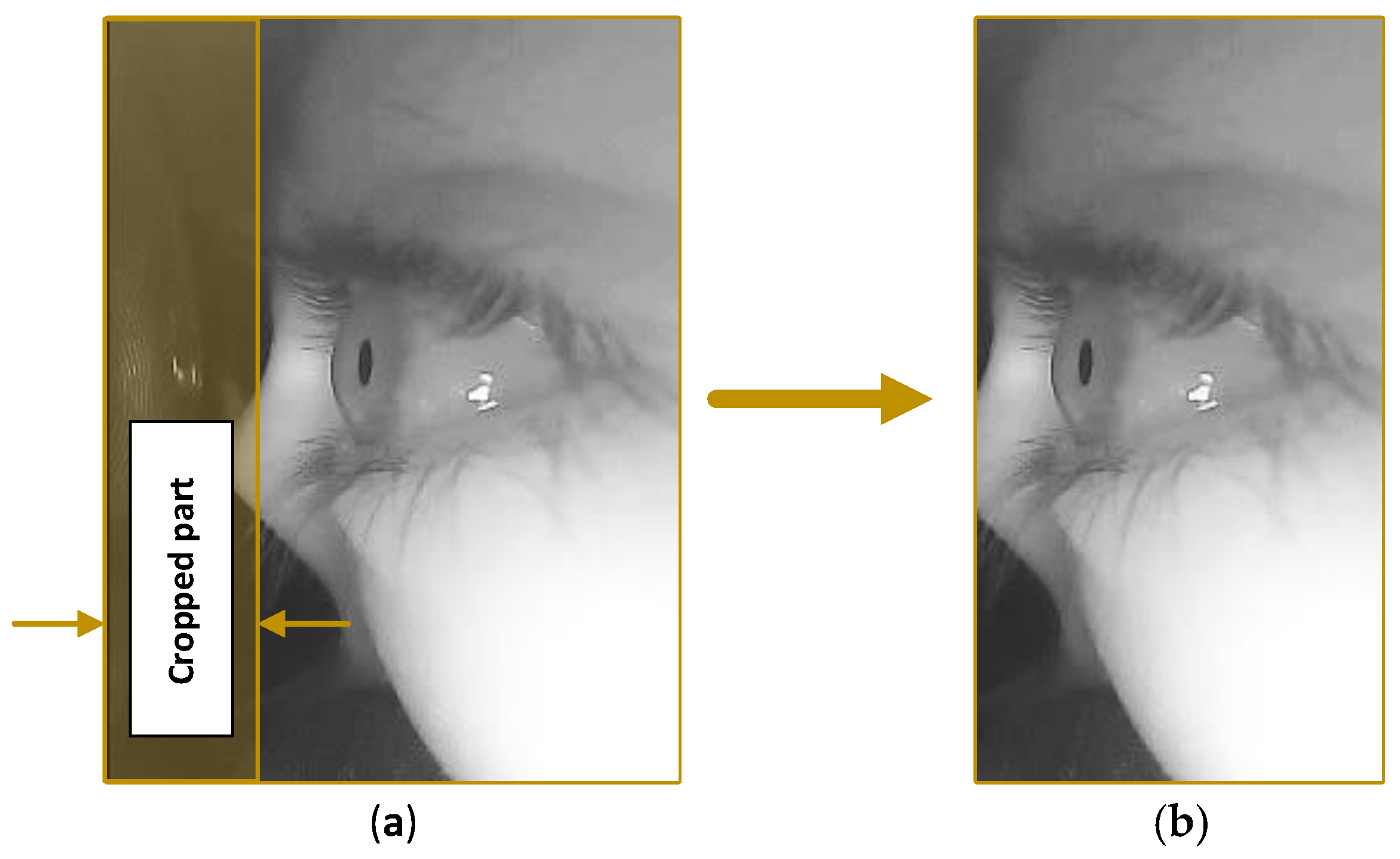 Sensors 19 01121 g005 550