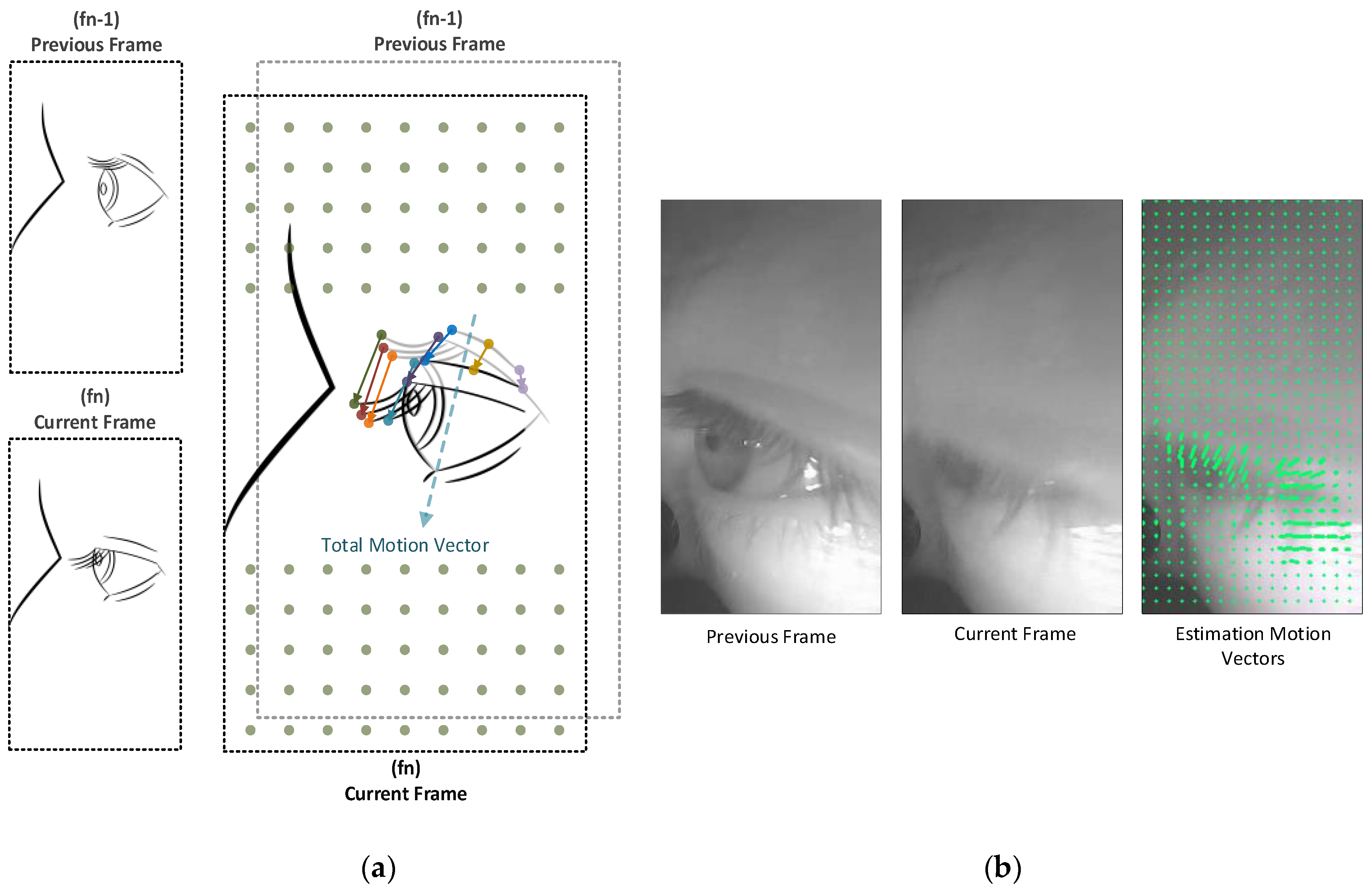 Sensors Free Full Text Real Time Eyeblink Detector And Eye State Classifier For Virtual Reality Vr Headsets Head Mounted Displays Hmds Html