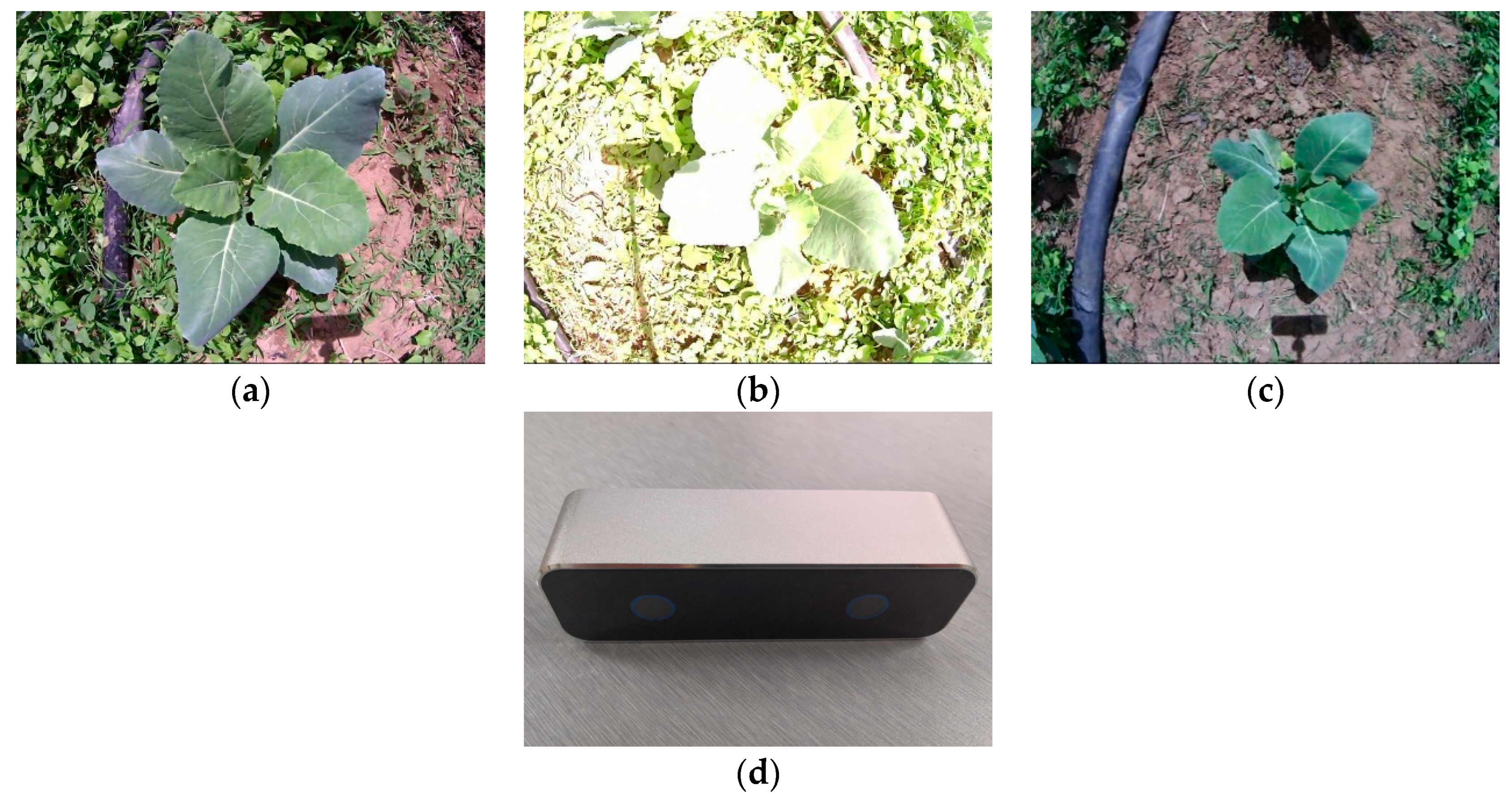 Sensors 19 01132 g001 Sensors 19 01132 g001