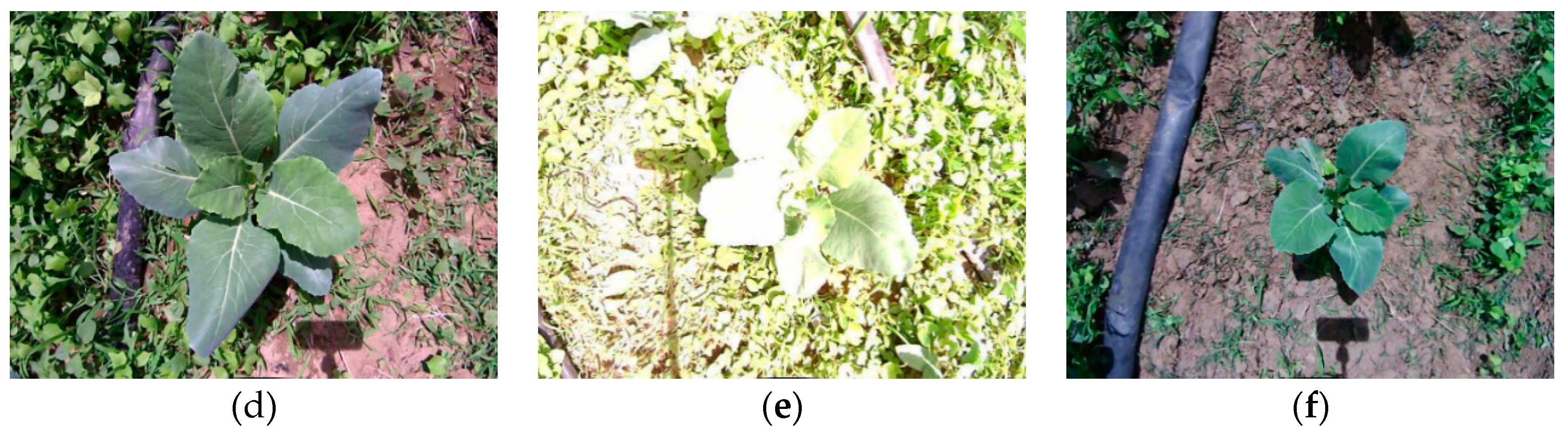 Sensors 19 01132 g003b Sensors 19 01132 g003b