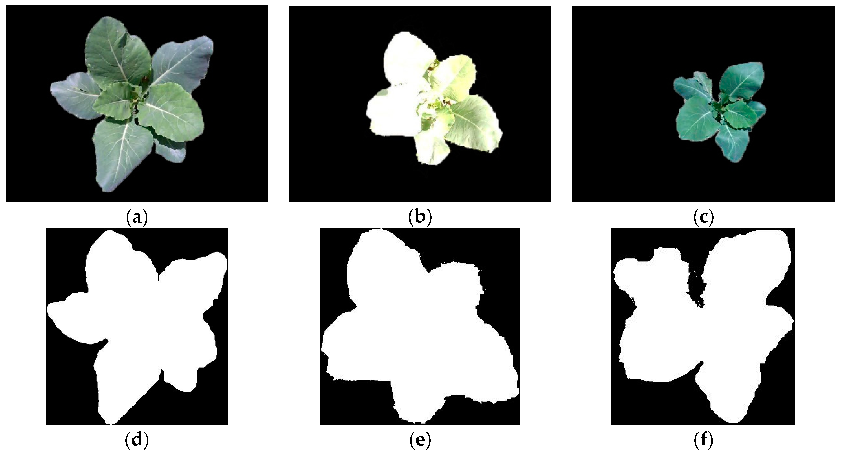 Sensors 19 01132 g009a Sensors 19 01132 g009a