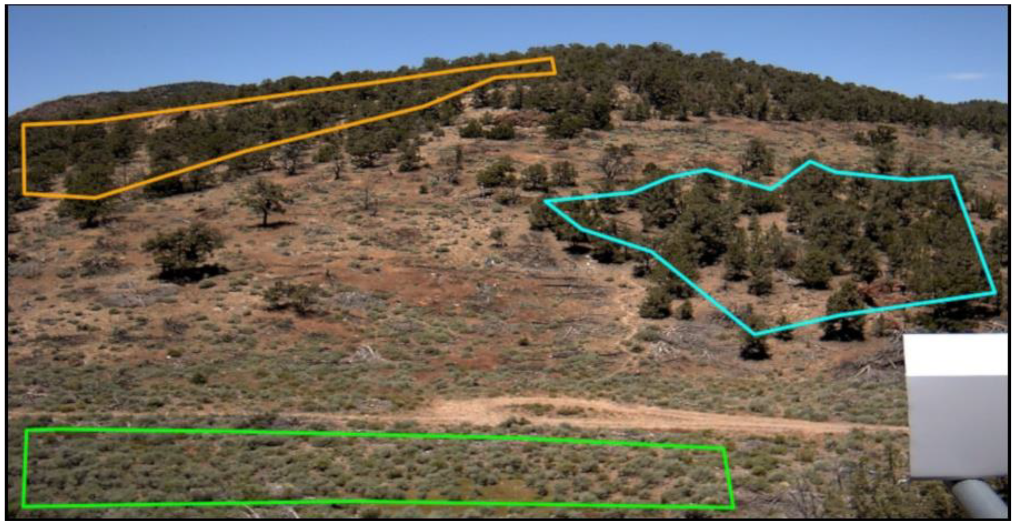 Sensors 19 01139 g002 Sensors 19 01139 g002