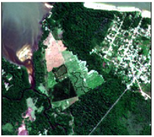 Sensors 19 01140 i002