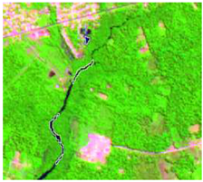 Sensors 19 01140 i036