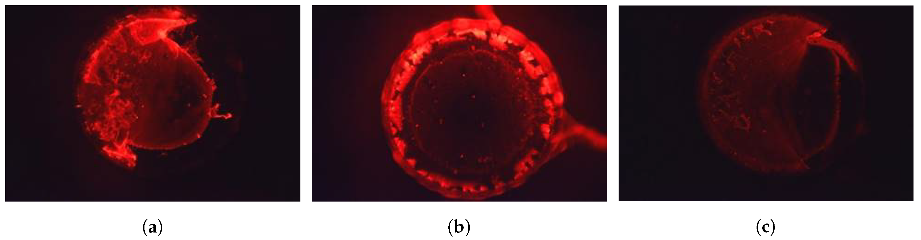 Sensors 19 01178 g003 Sensors 19 01178 g003