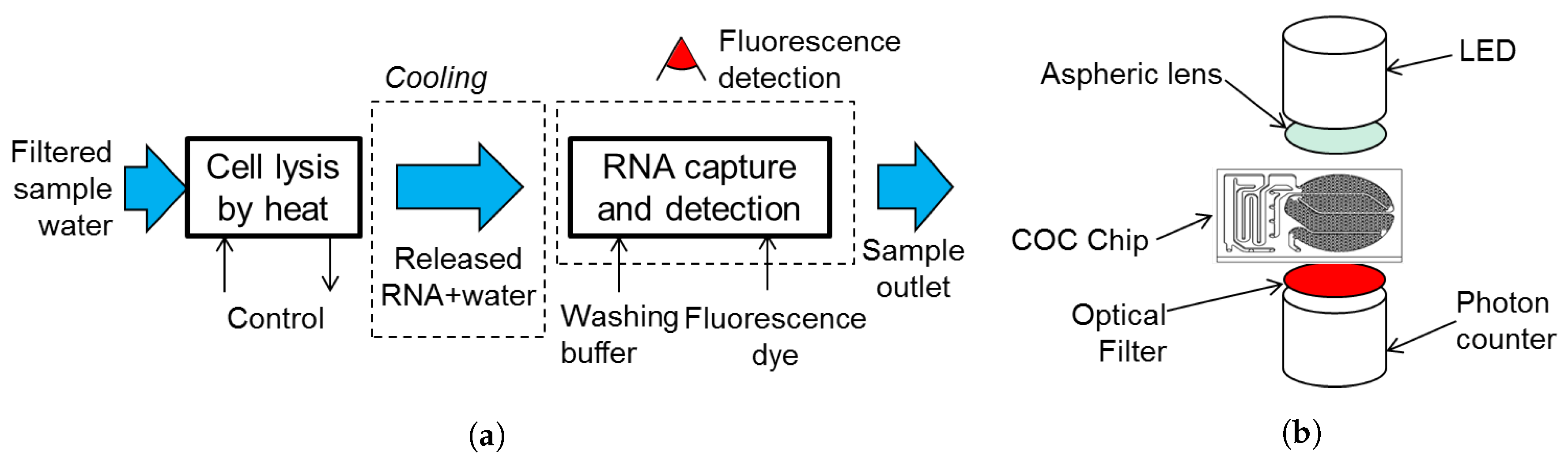 Sensors 19 01178 g005 Sensors 19 01178 g005