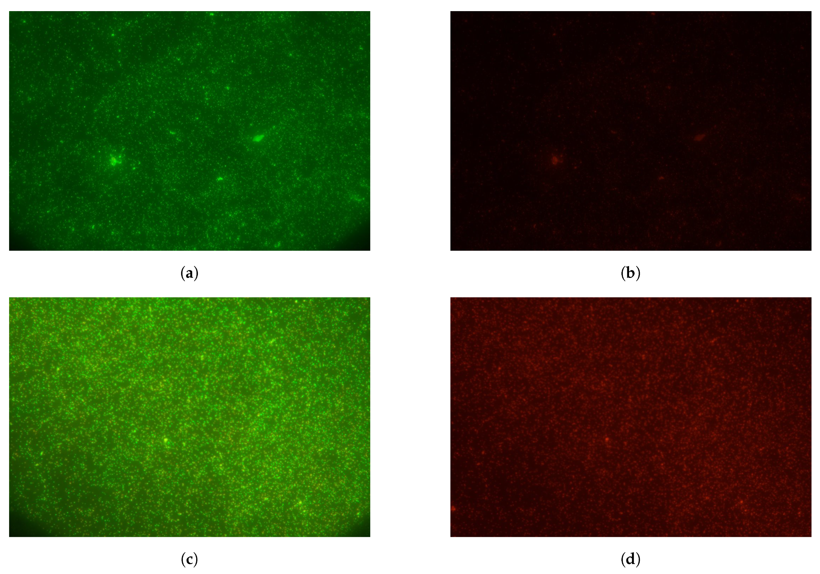 Sensors 19 01178 g011 Sensors 19 01178 g011