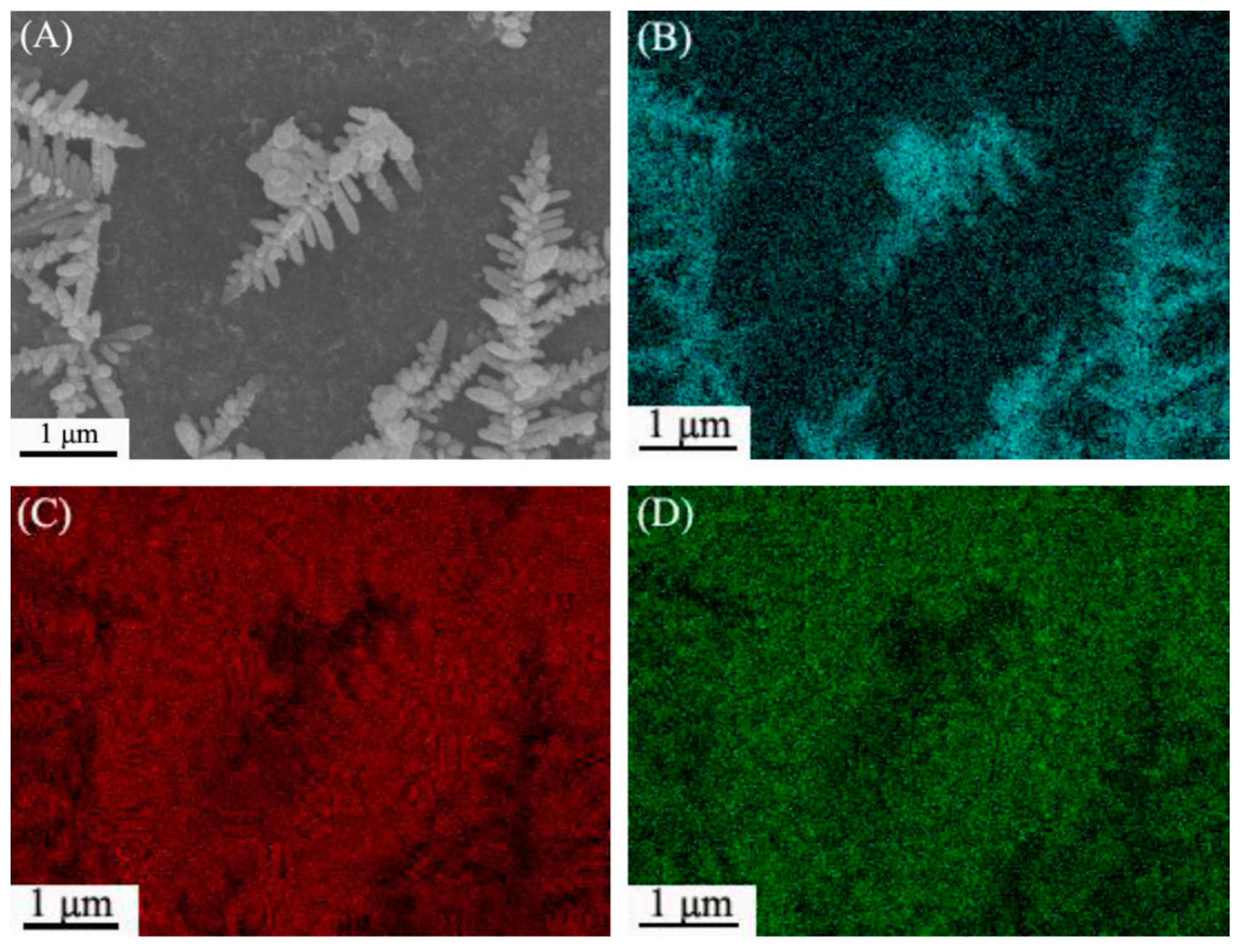 Sensors 19 01186 g007a