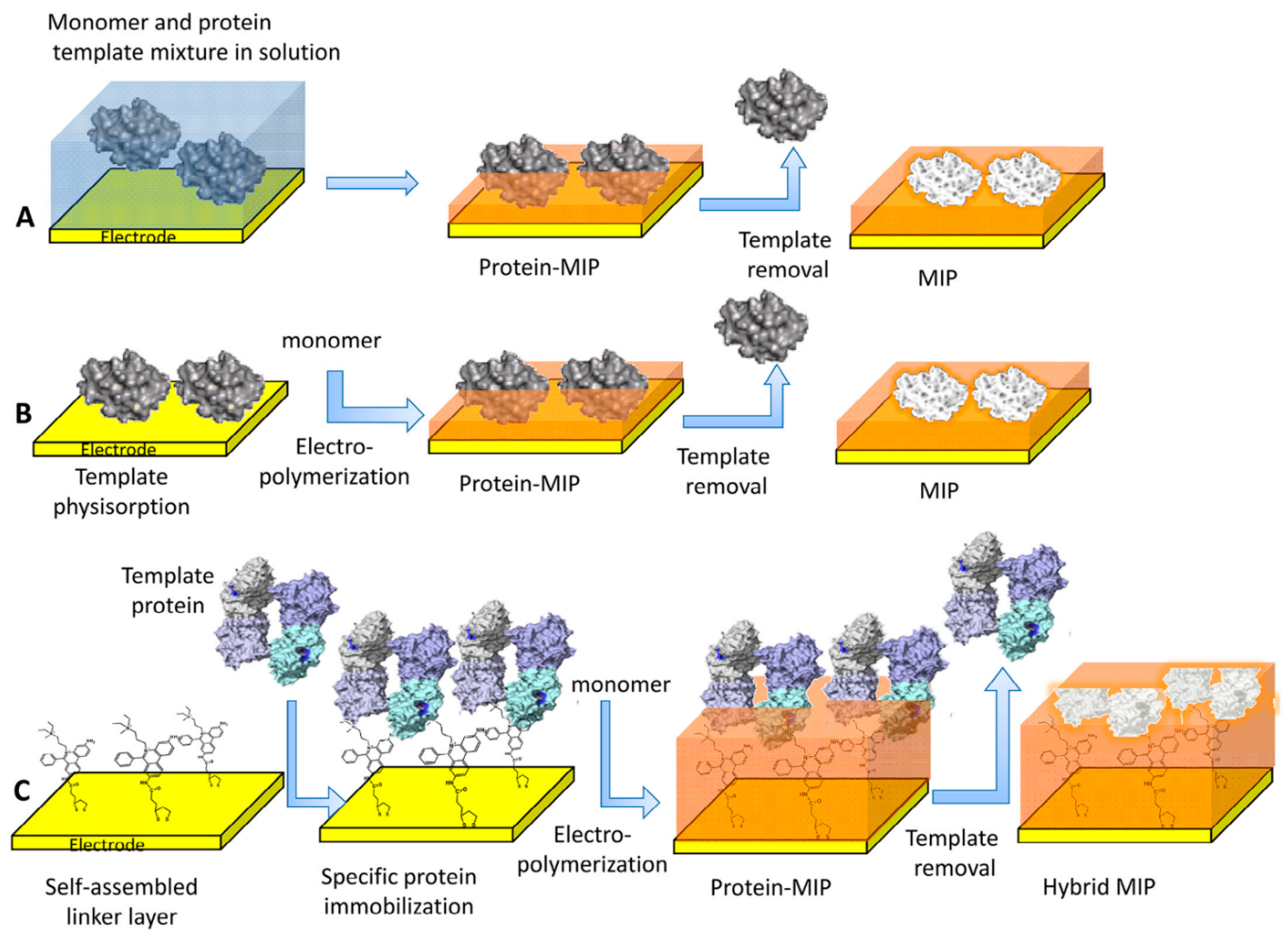 Sensors Free FullText Electrochemical Deposition of Nanomaterials