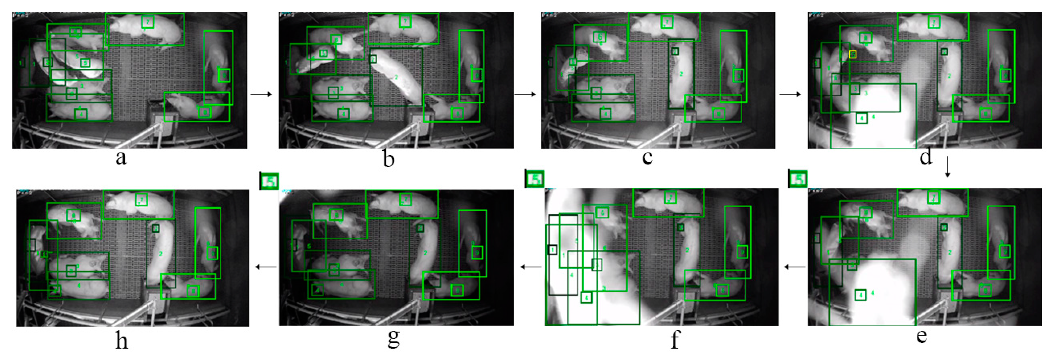 Sensors 19 01188 g008