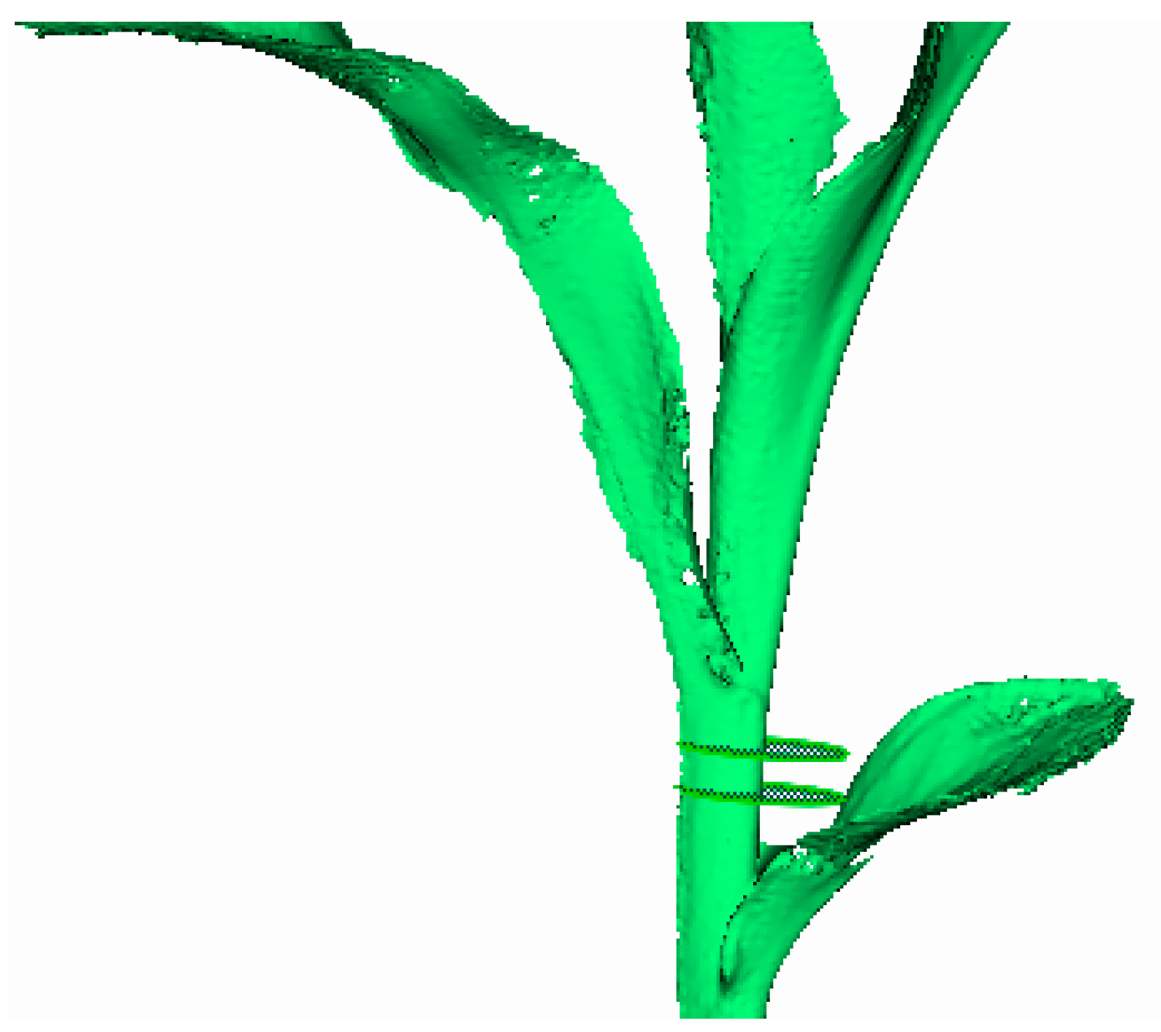 Sensors 19 01201 g005