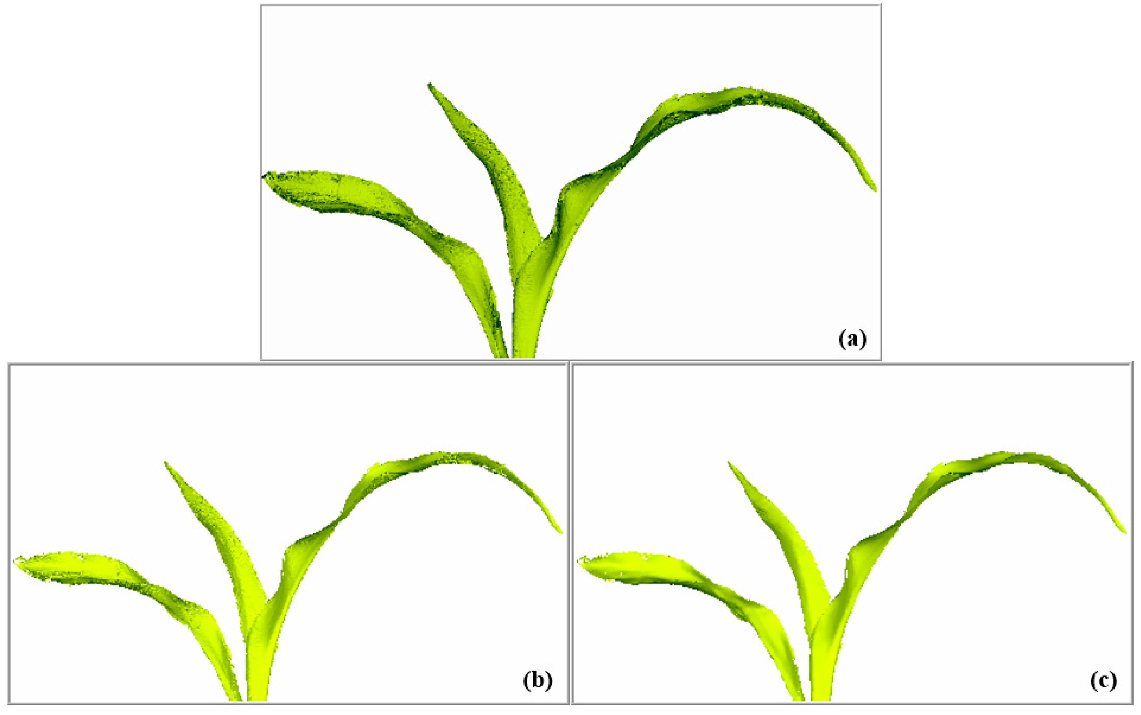 Sensors 19 01201 g011