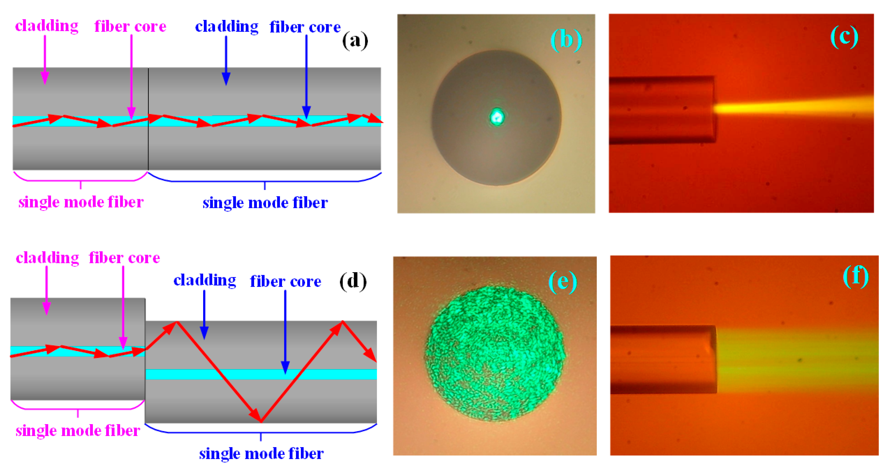 Sensors 19 01202 g001
