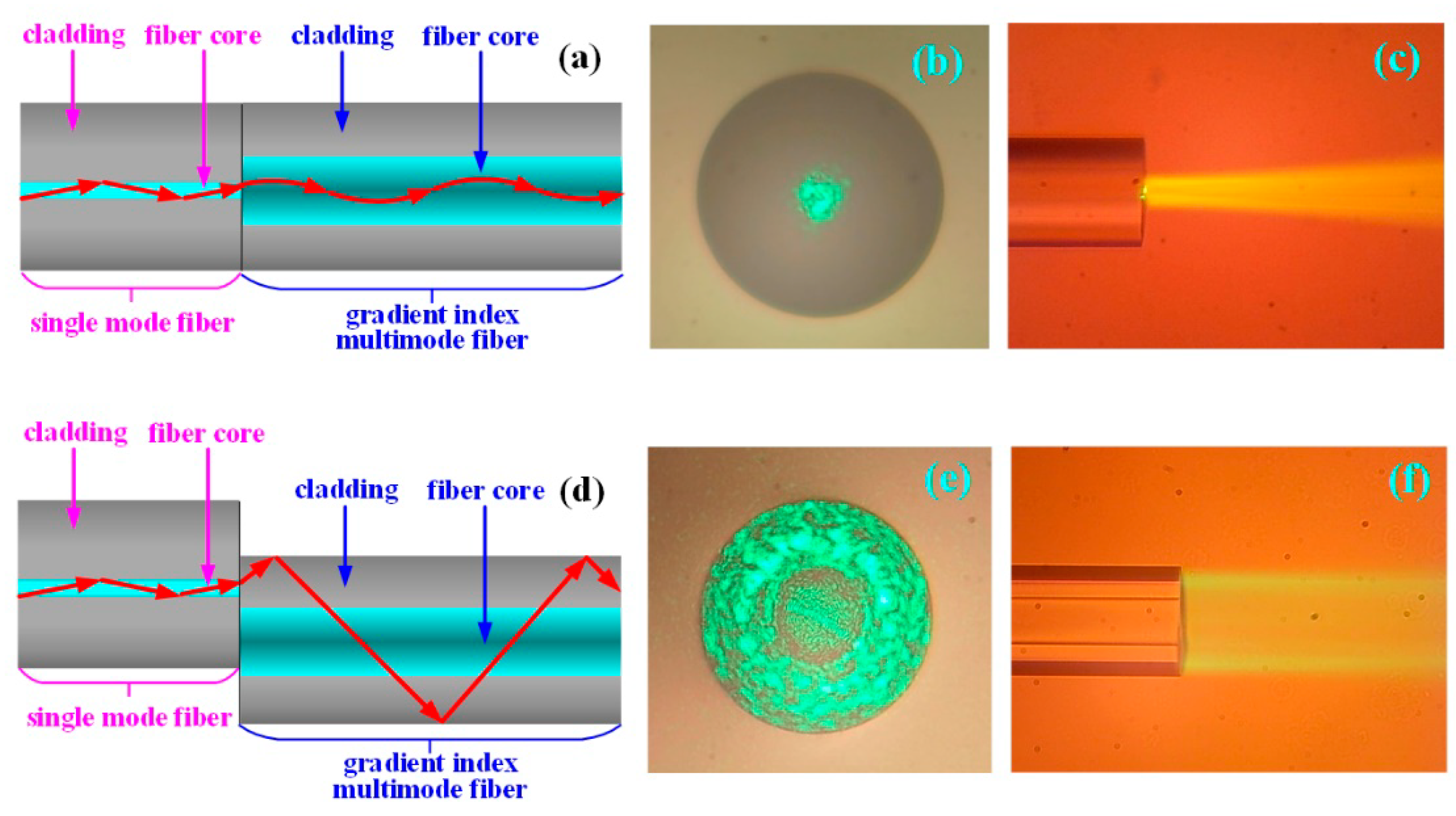 Sensors 19 01202 g002