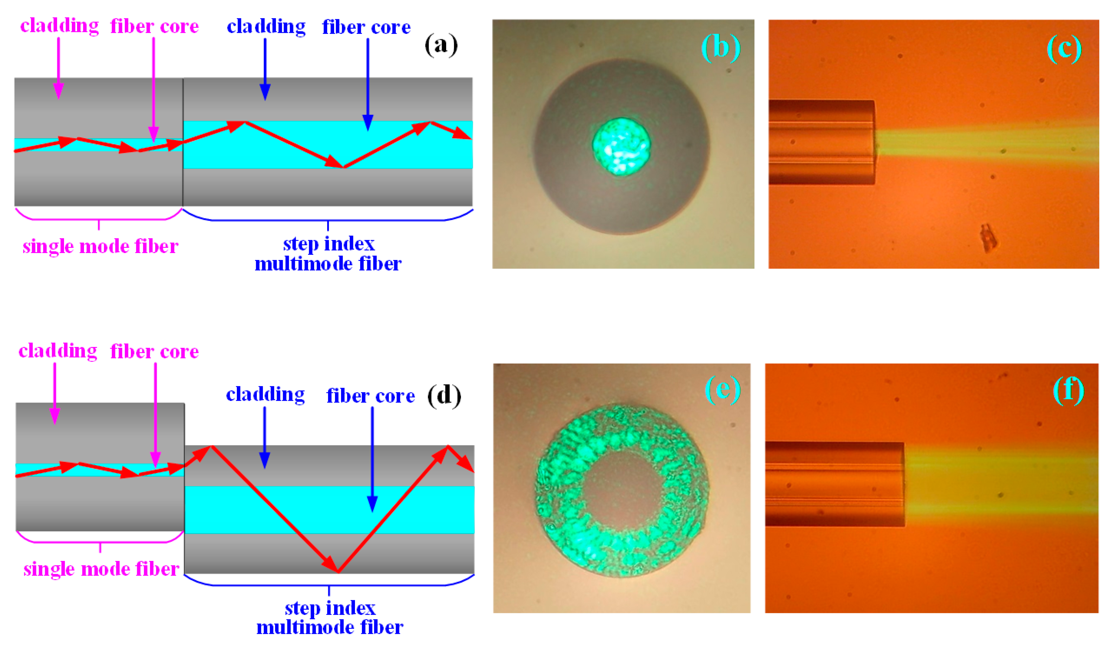 Sensors 19 01202 g003