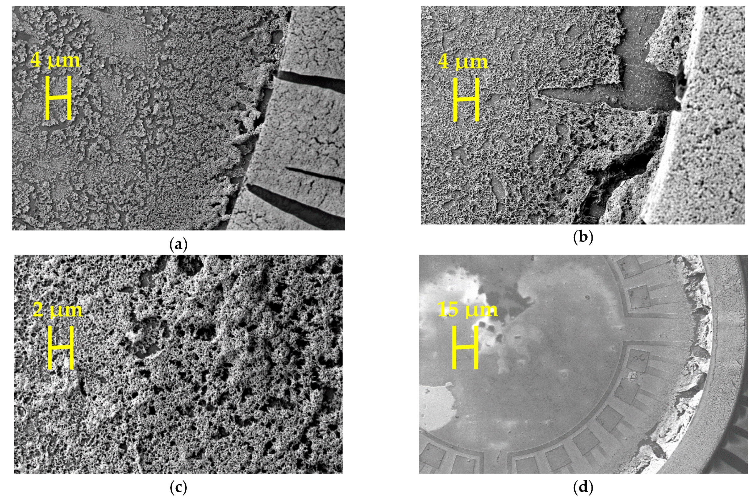 Sensors 19 01205 g014a