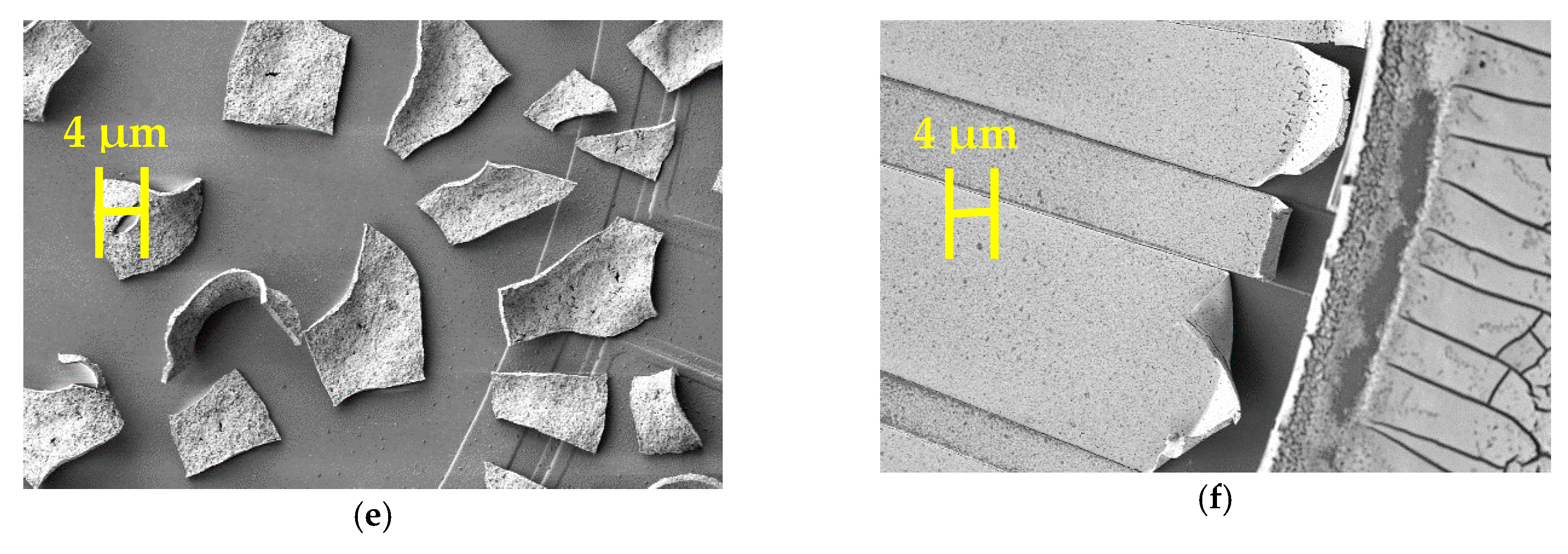 Sensors 19 01205 g014b