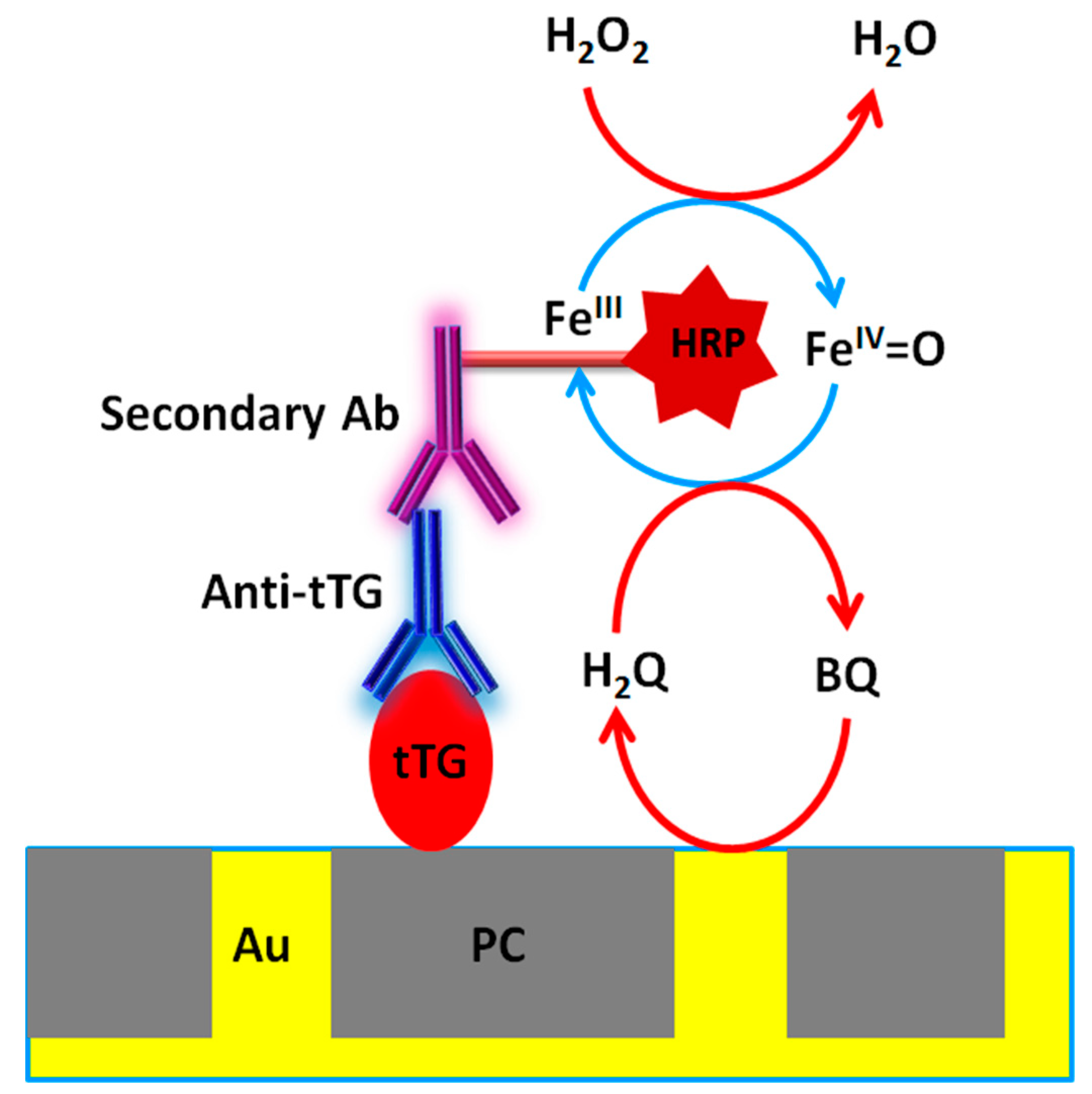 Sensors 19 01233 sch001
