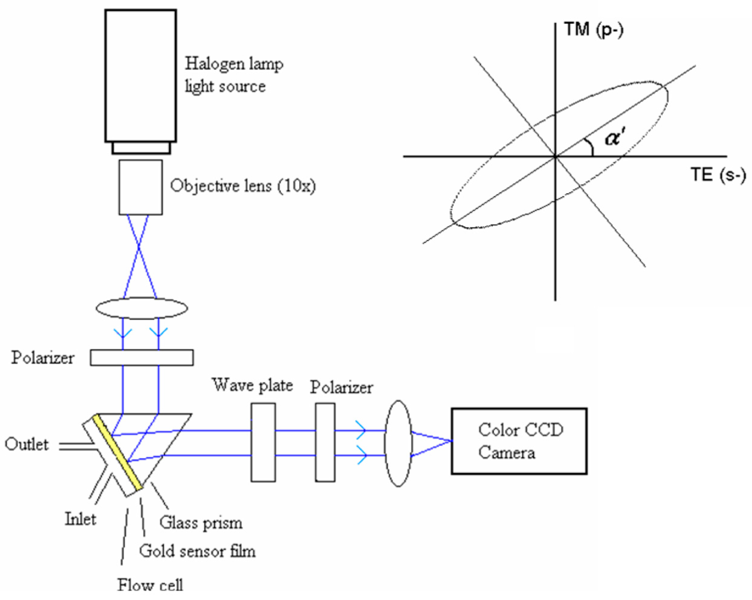 Sensors 19 01266 g005