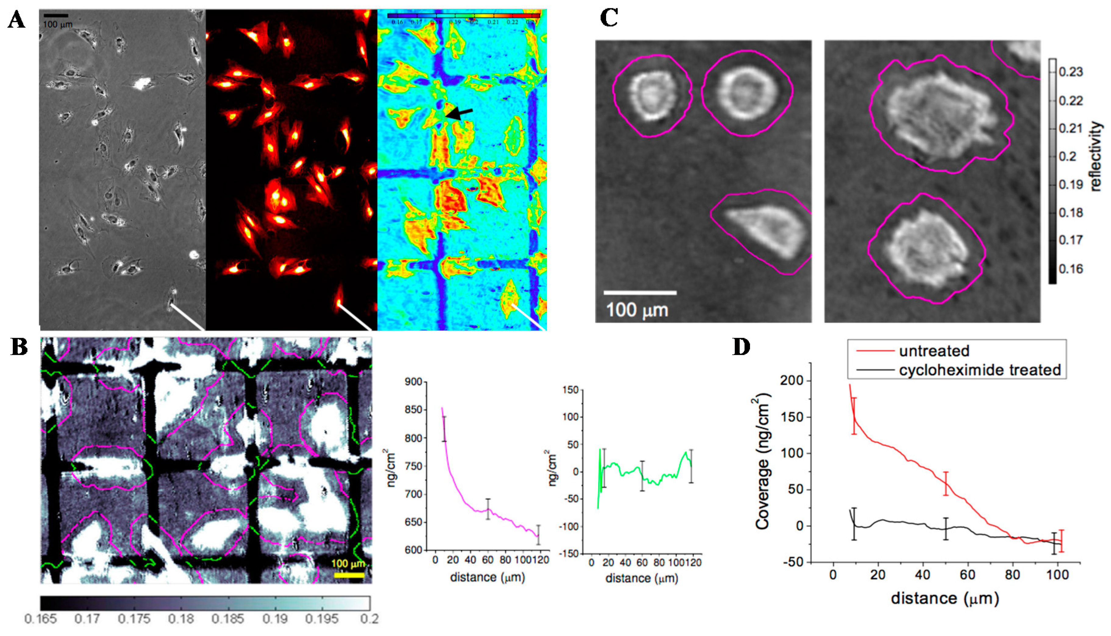 Sensors 19 01266 g010