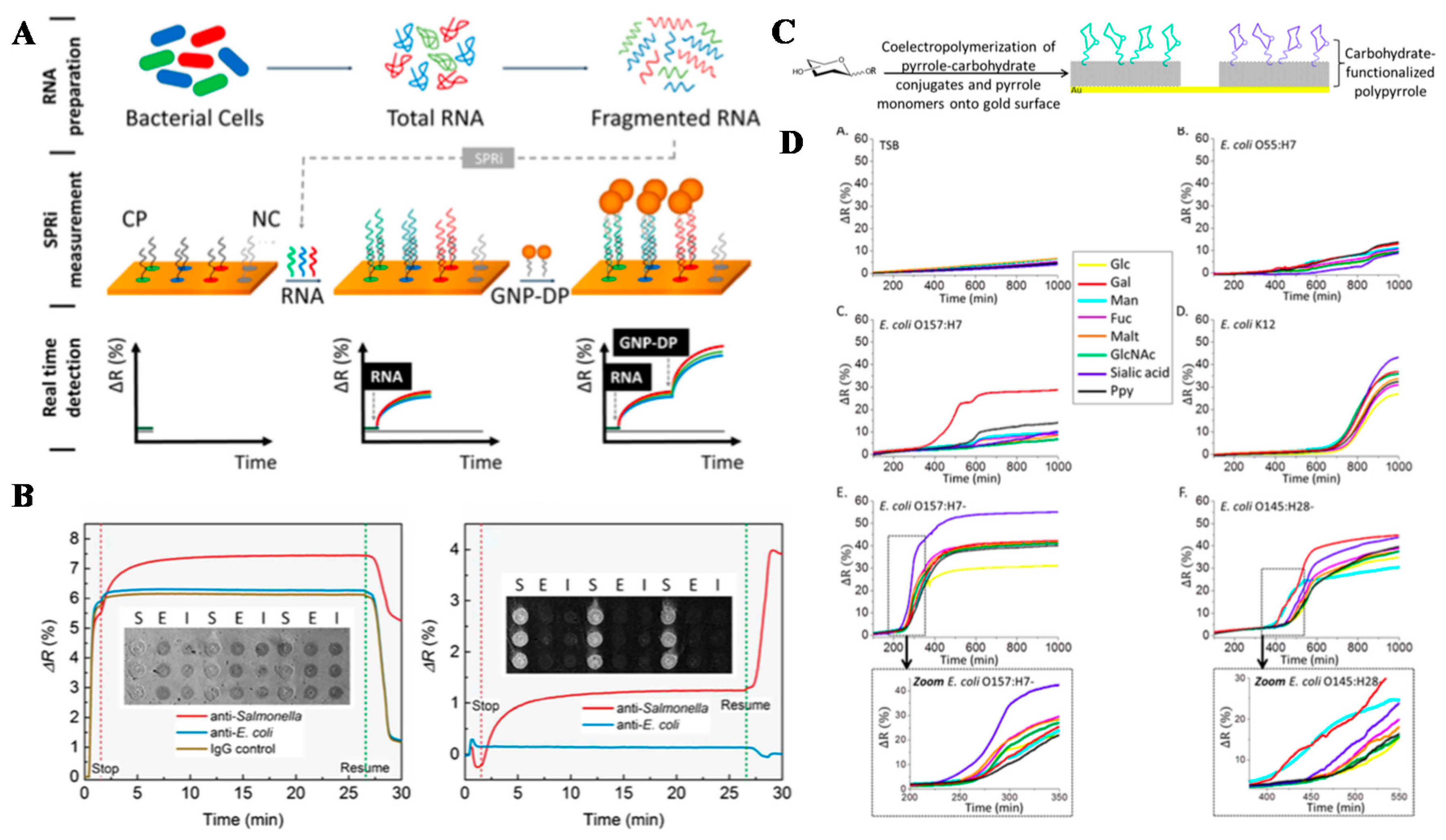 Sensors 19 01266 g012