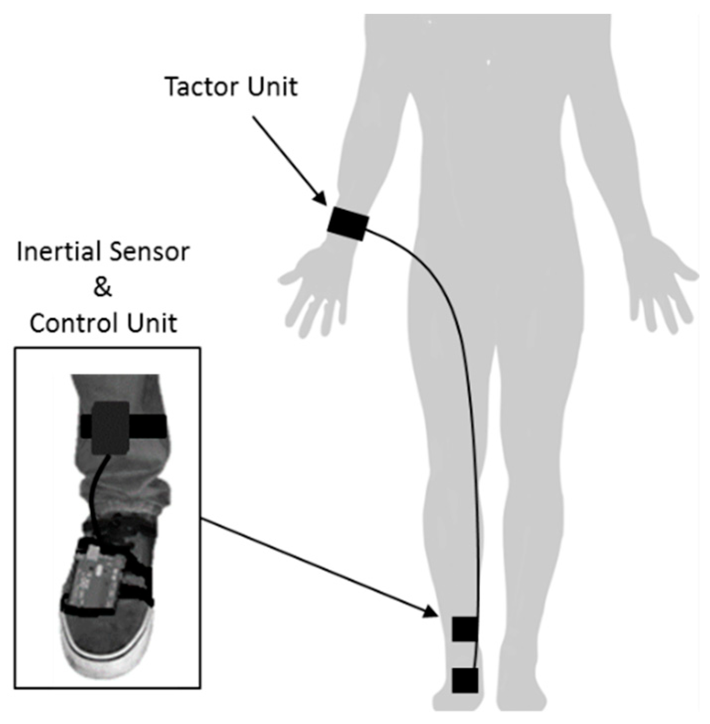 Sensors 19 01277 g017