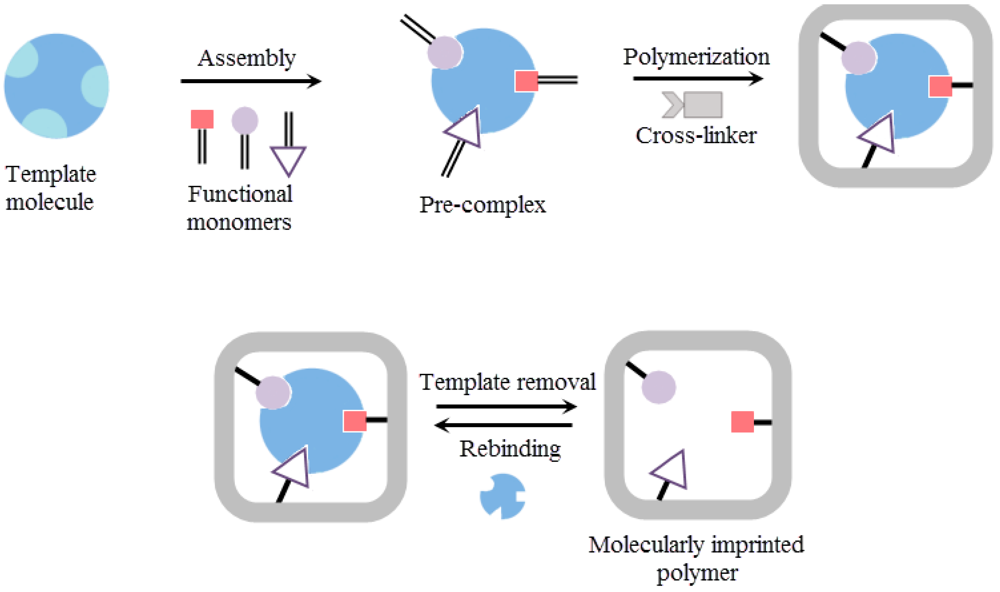 Sensors Free Full Text Molecularly Imprinted Polymer Based Sensors For Medical Applications Html