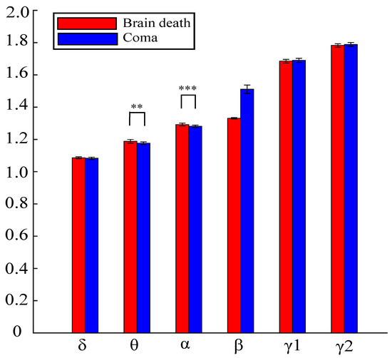 What is the Difference Between a Coma and Brain Death?