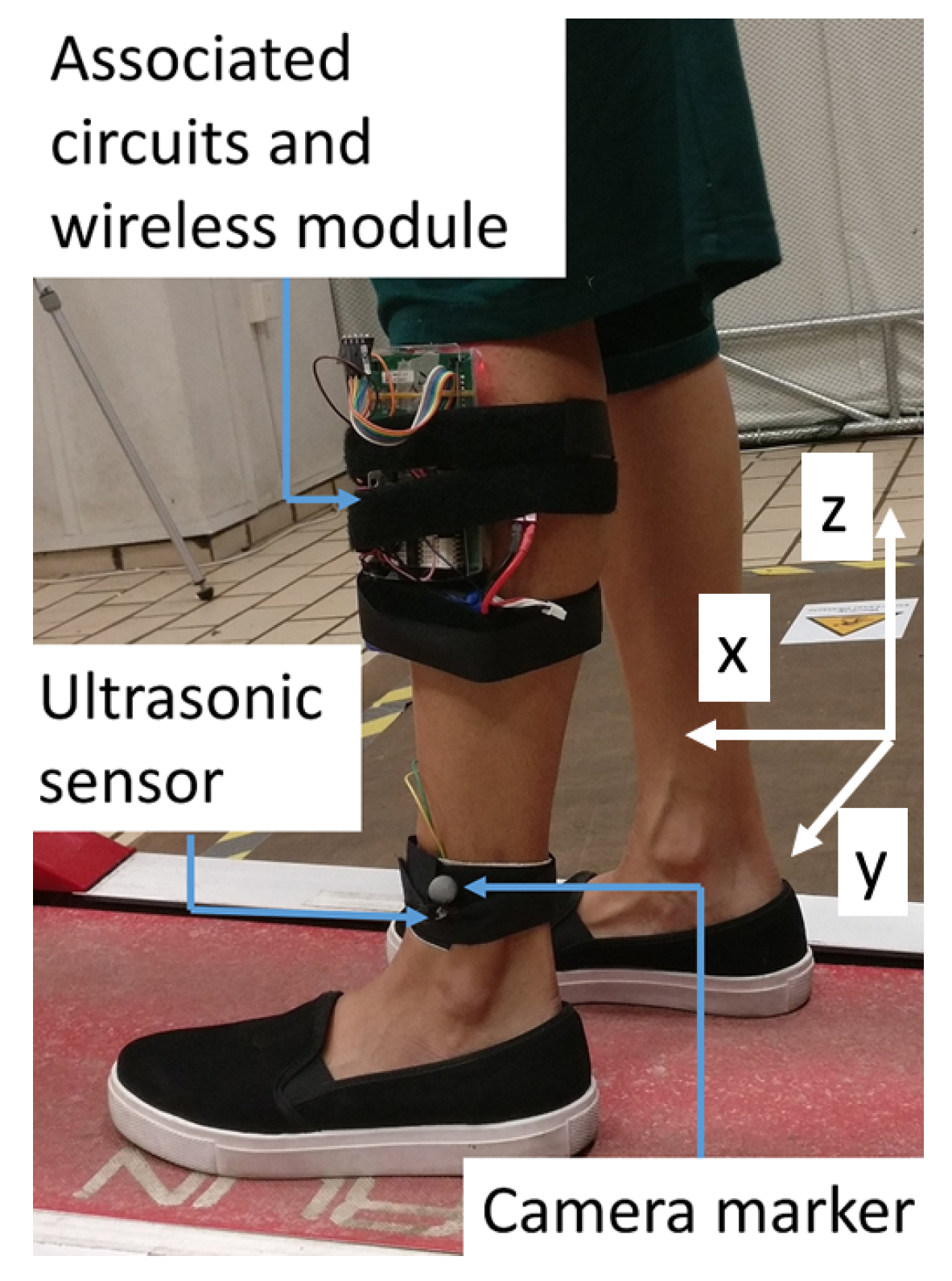 Sensors 19 01350 g005