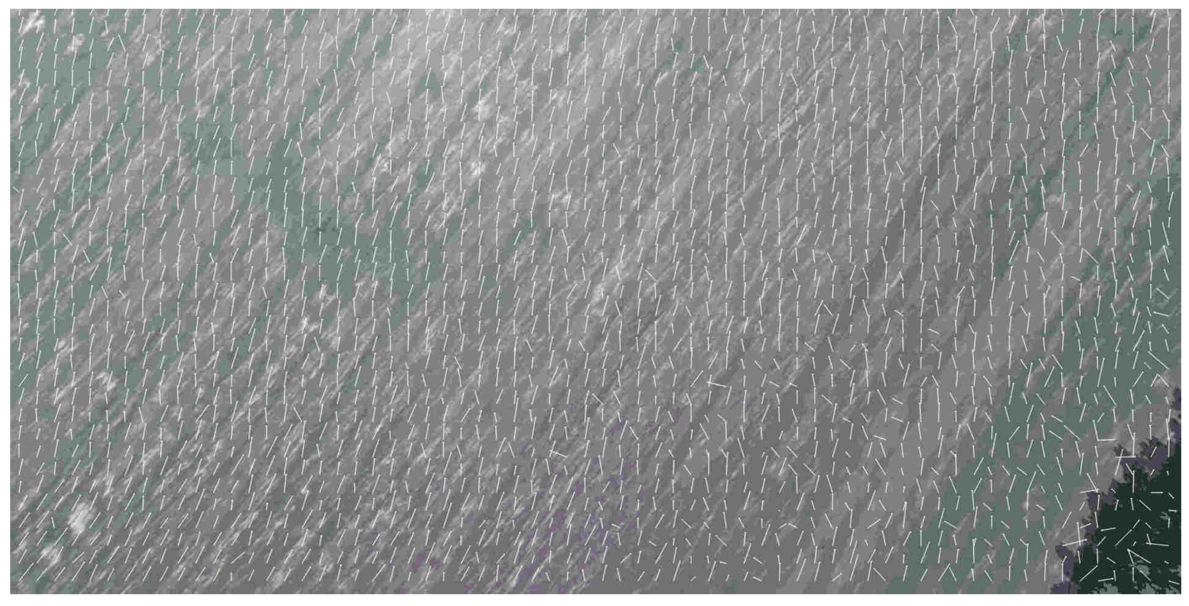 Sensors 19 01351 g005