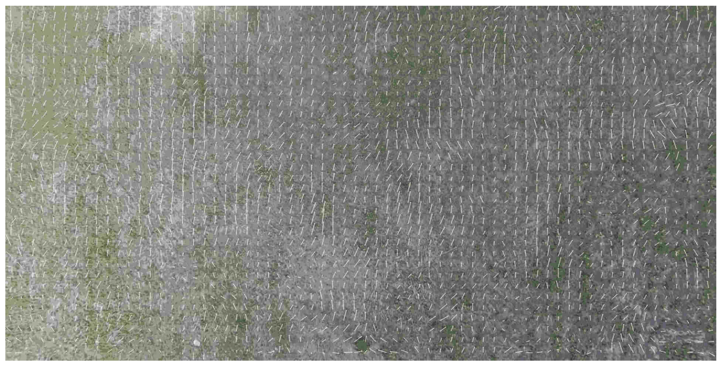 Sensors 19 01351 g008