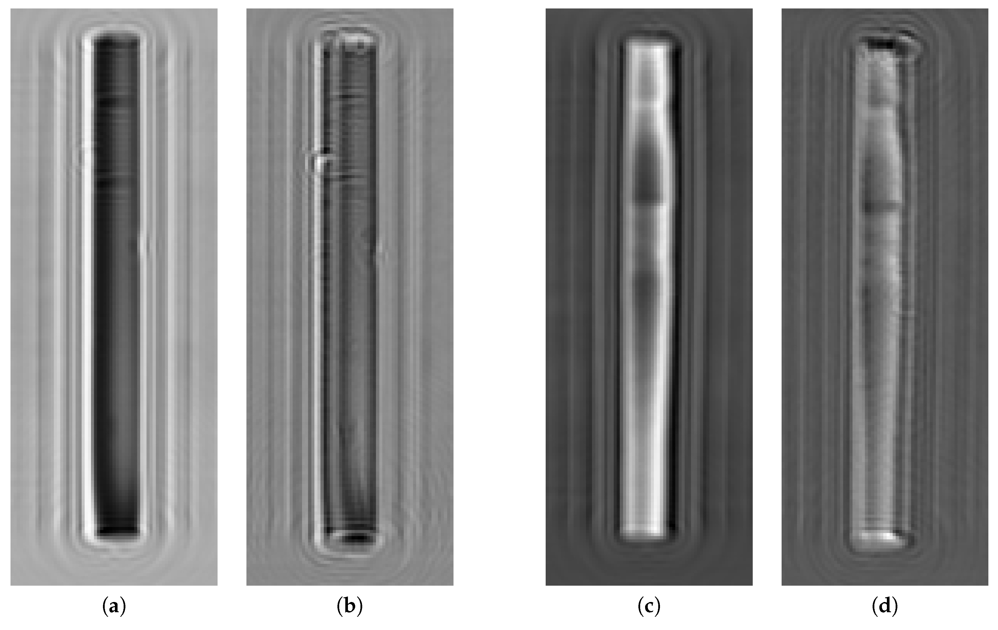 Sensors 19 01376 g004