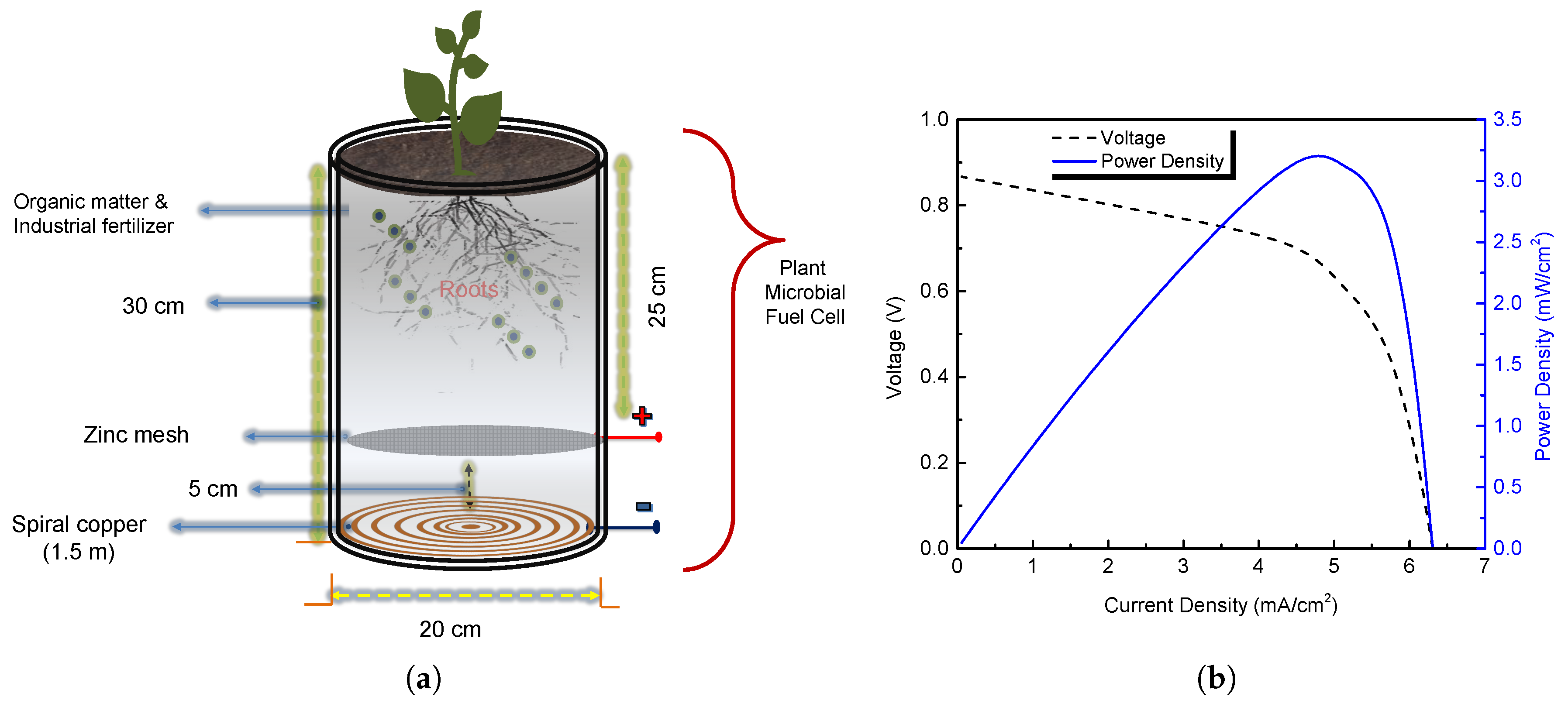 Sensors 19 01378 g001 Sensors 19 01378 g001